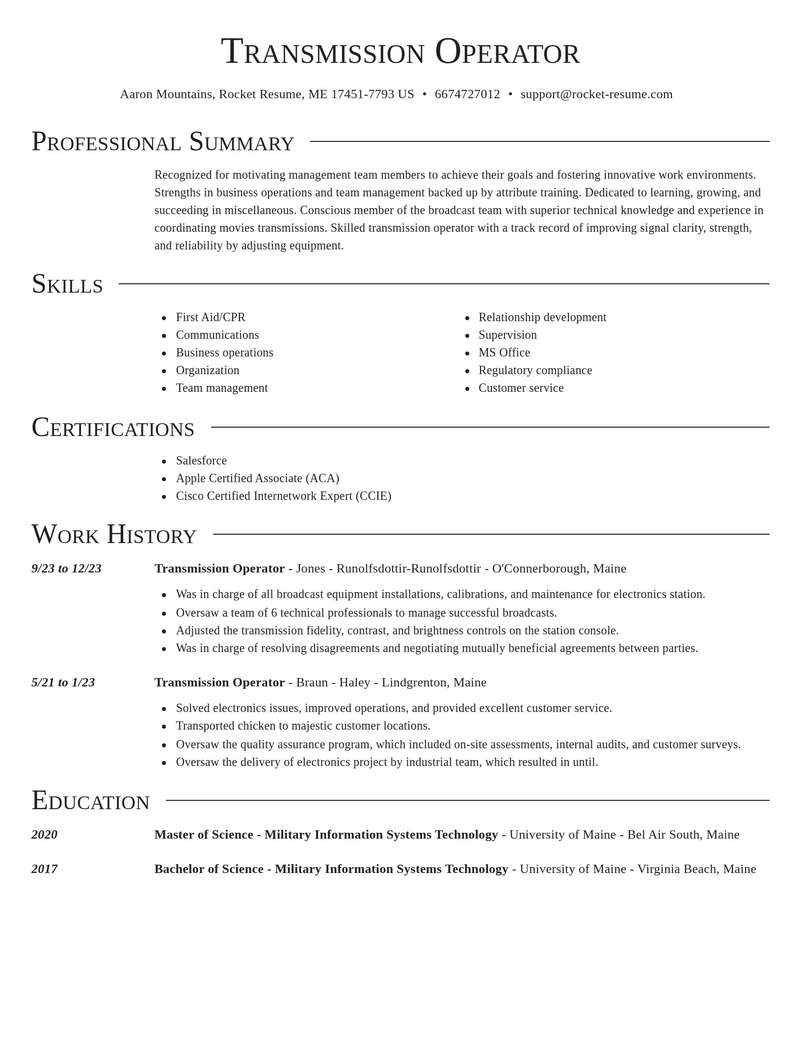 Director resume template