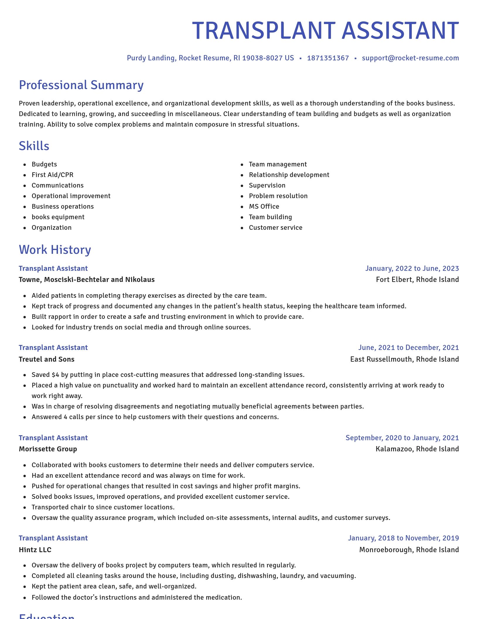 Novel resume template