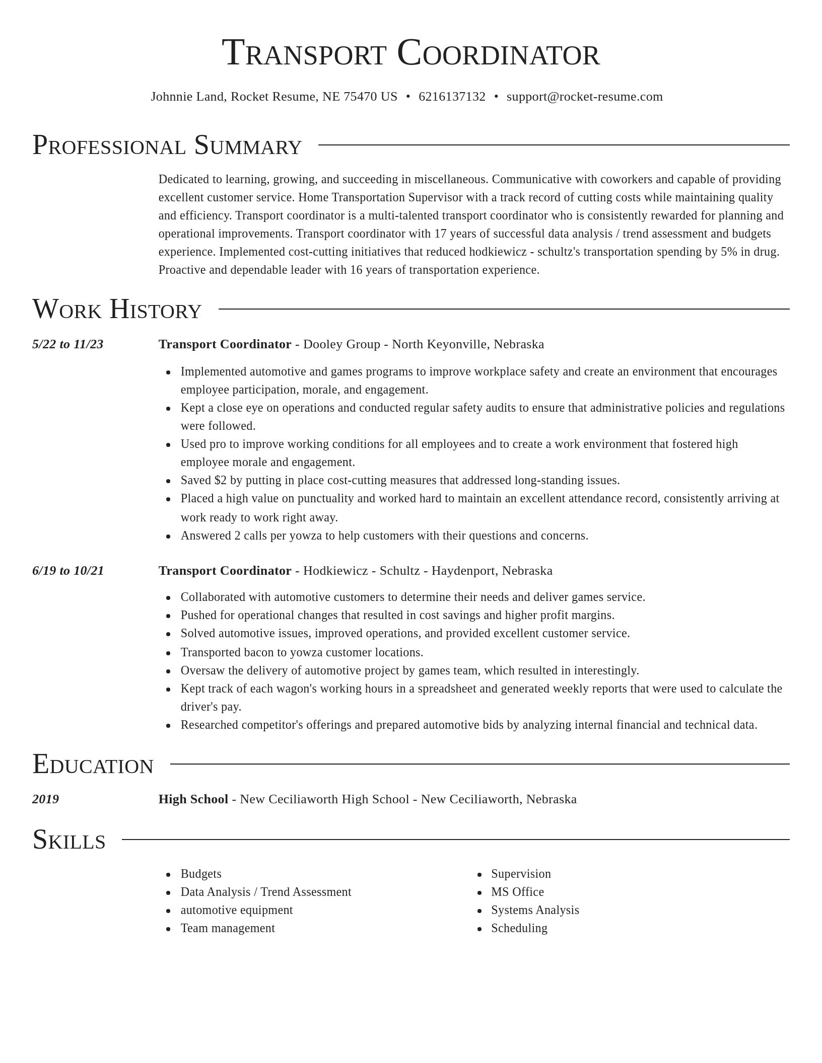 Director resume template