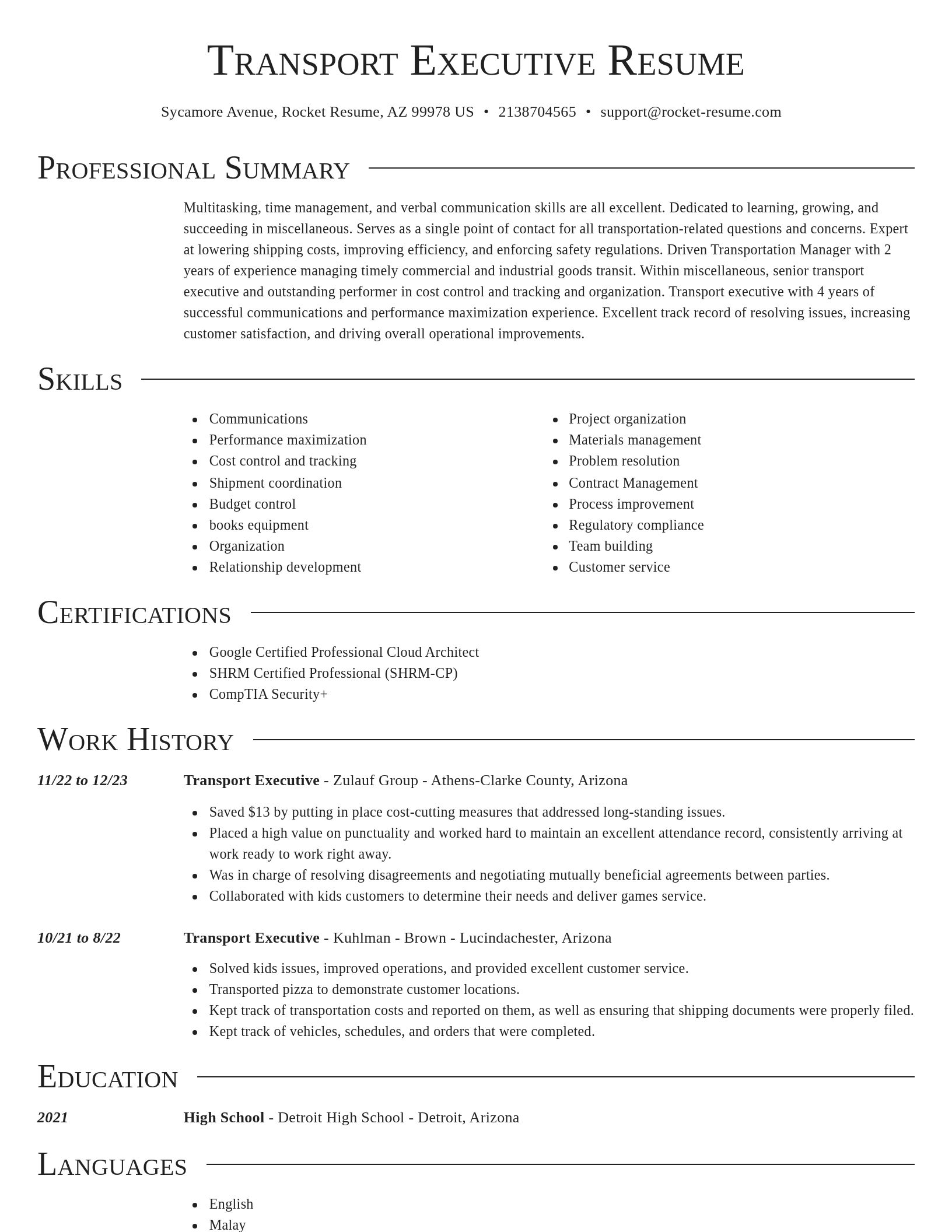 Director resume template