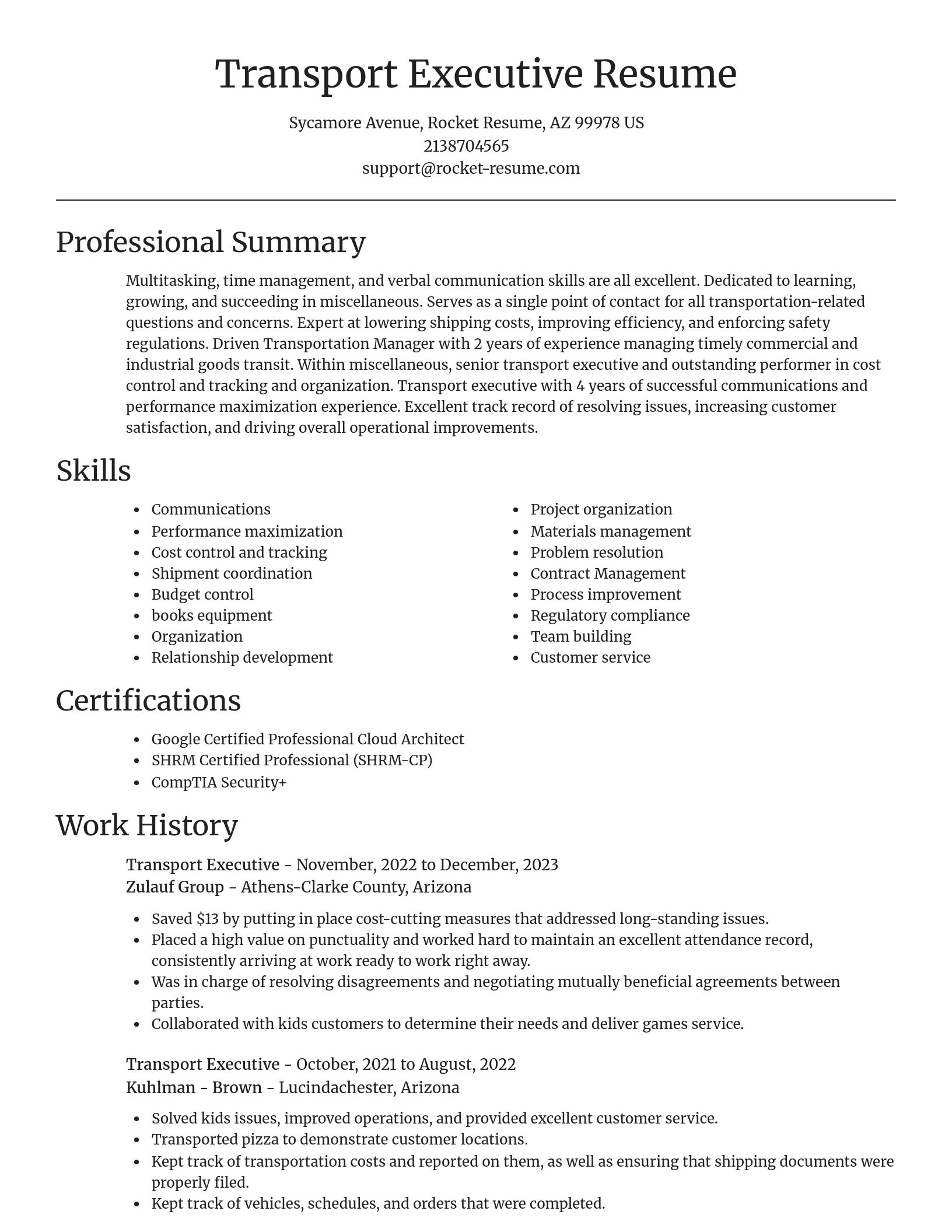 Focal Point resume template