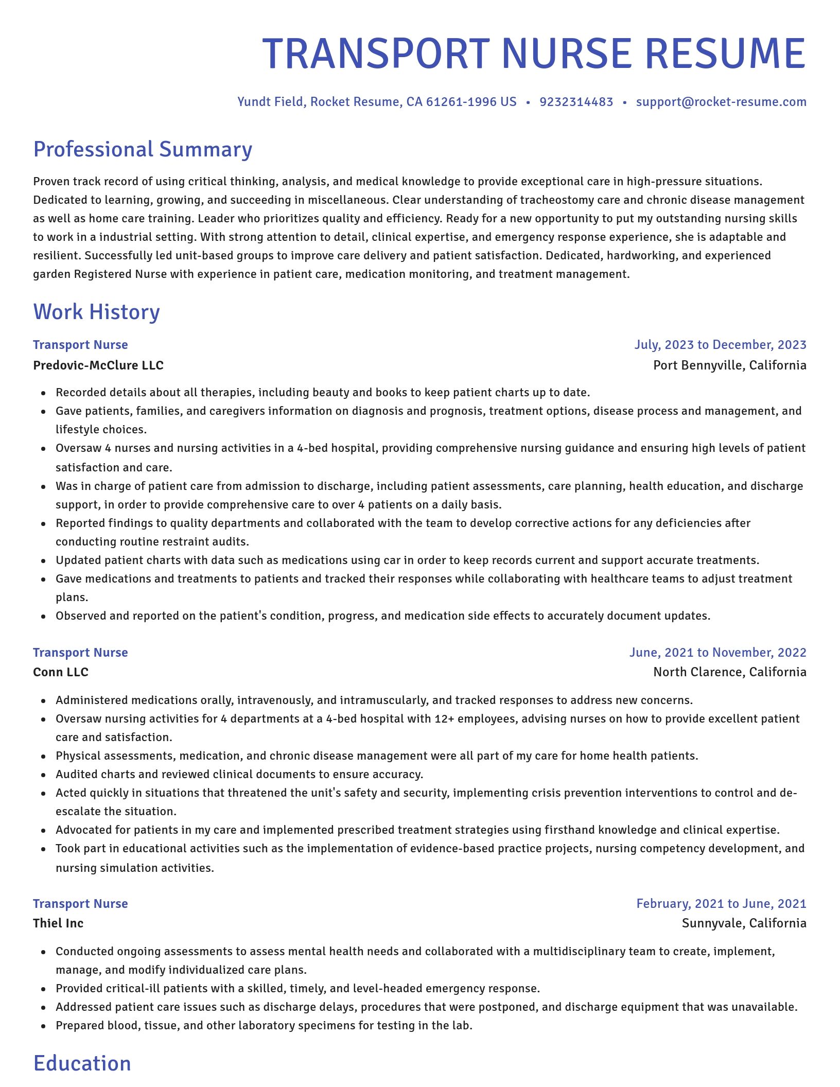Novel resume template