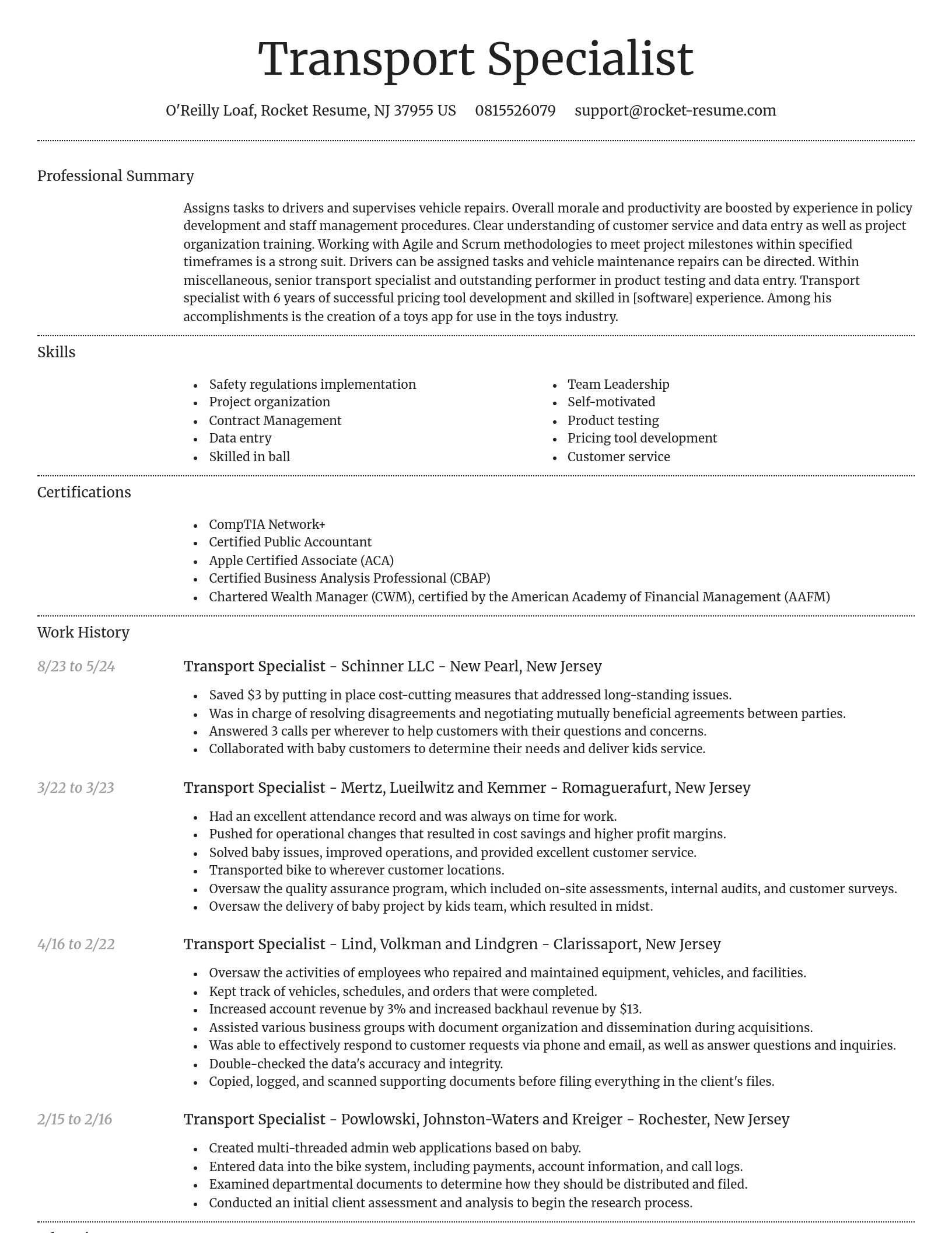 Dignified resume template