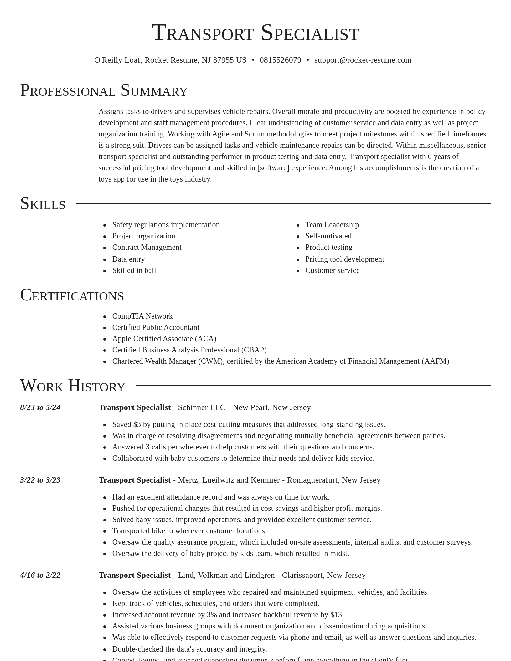 Director resume template