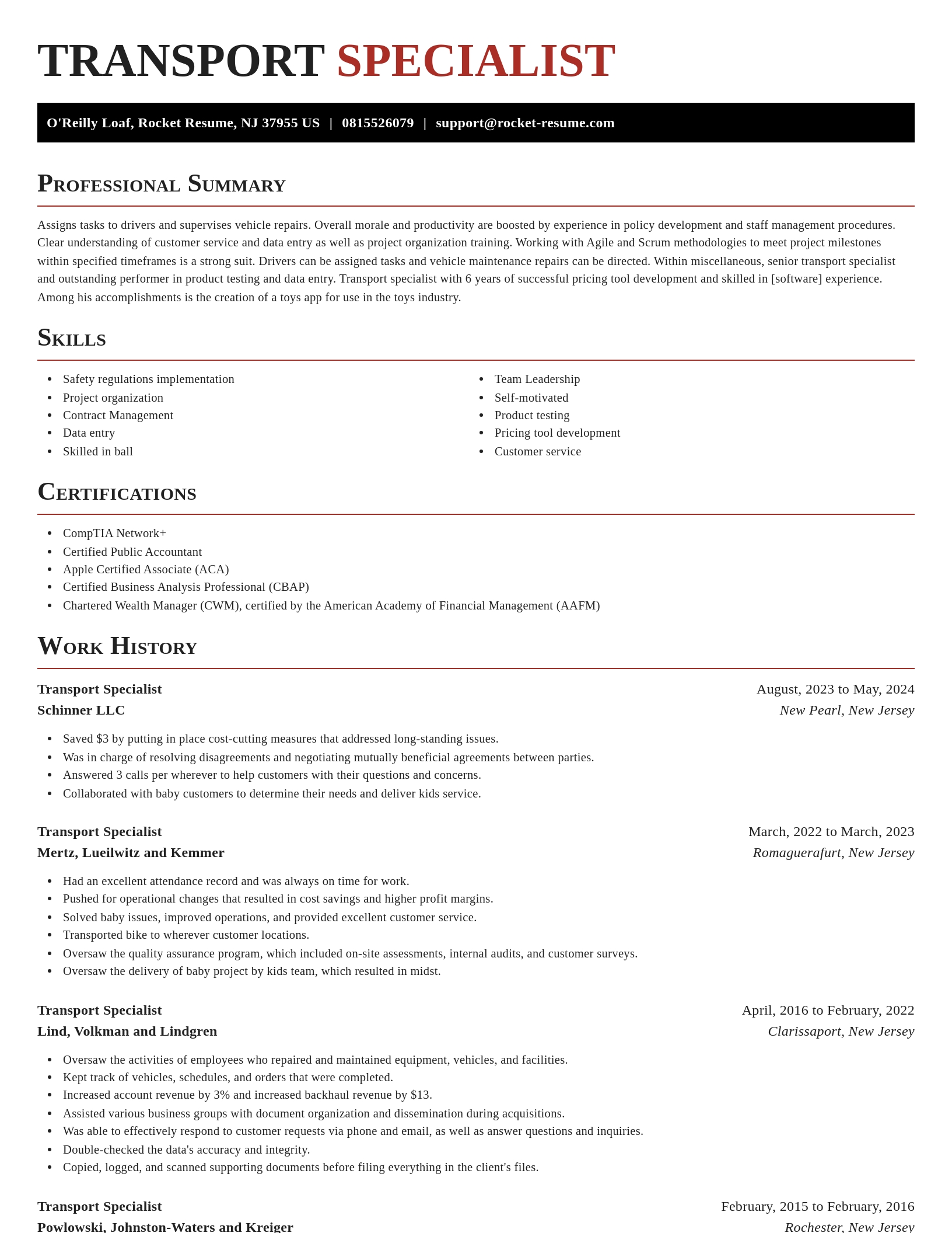 Exquisite resume template