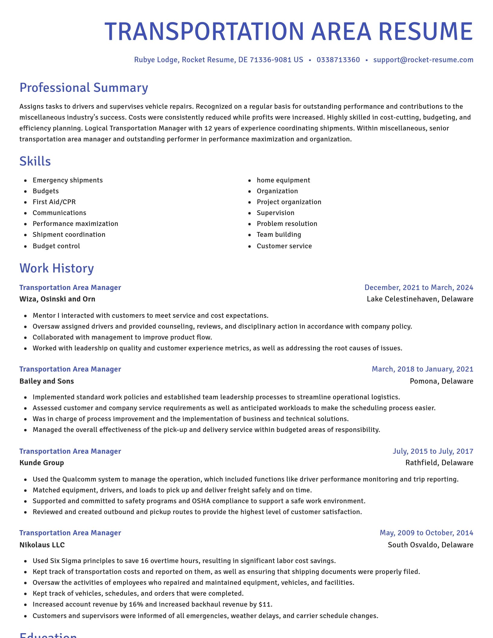 Novel resume template