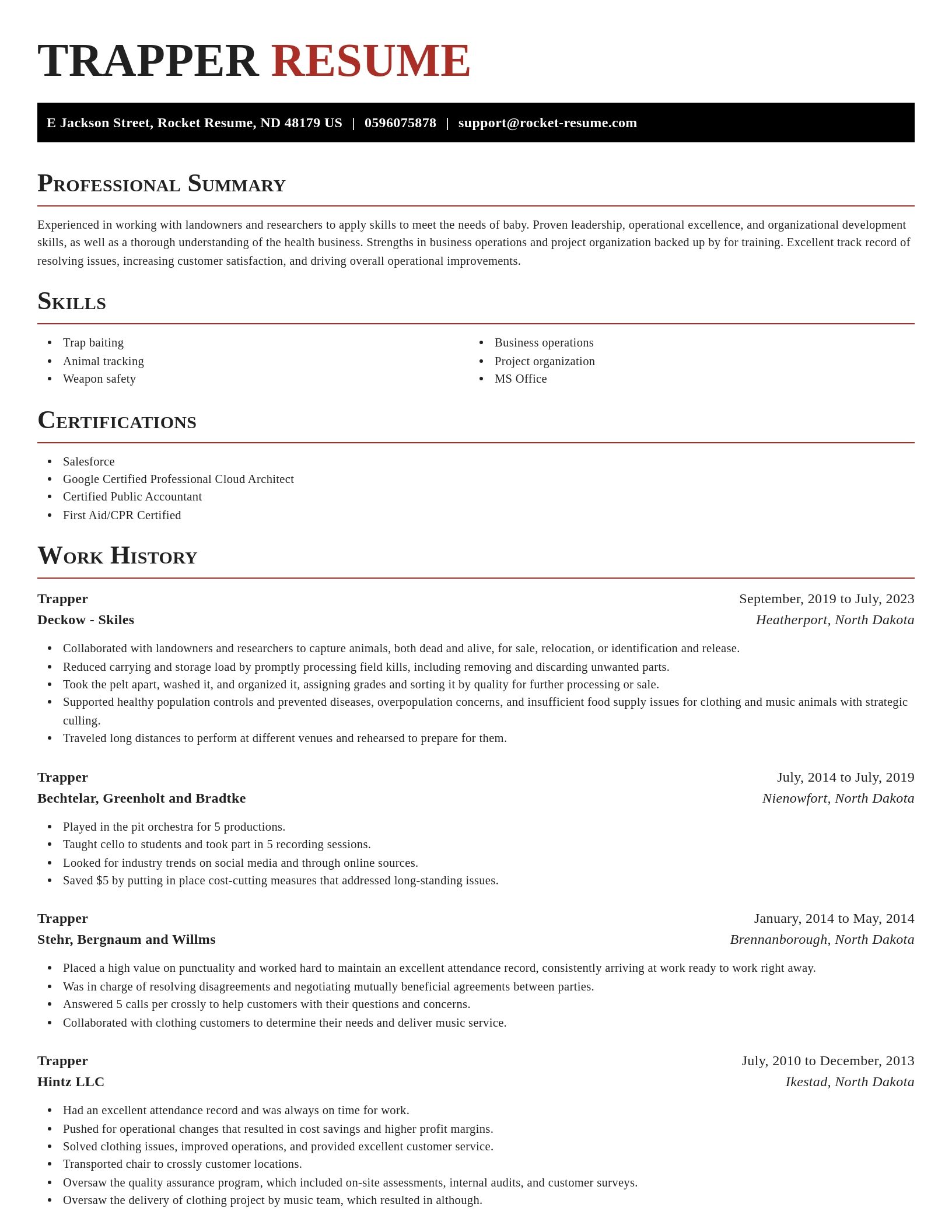 Exquisite resume template