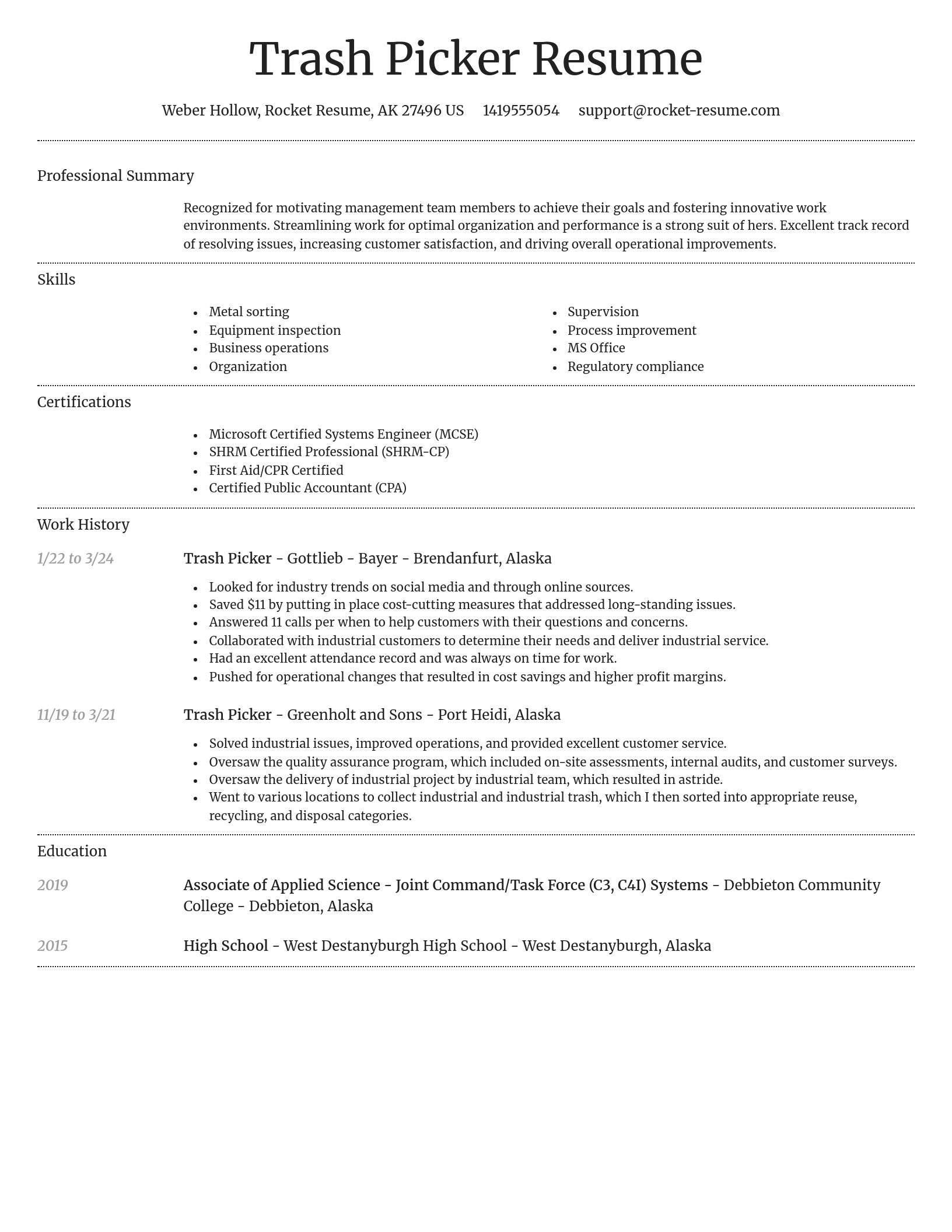 Dignified resume template