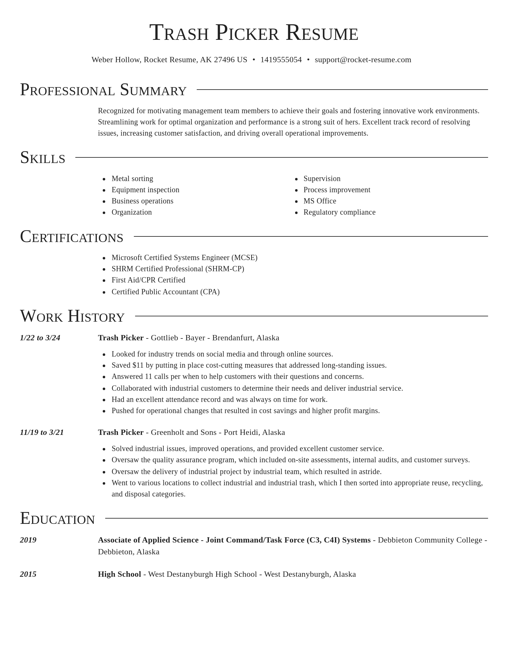 Director resume template