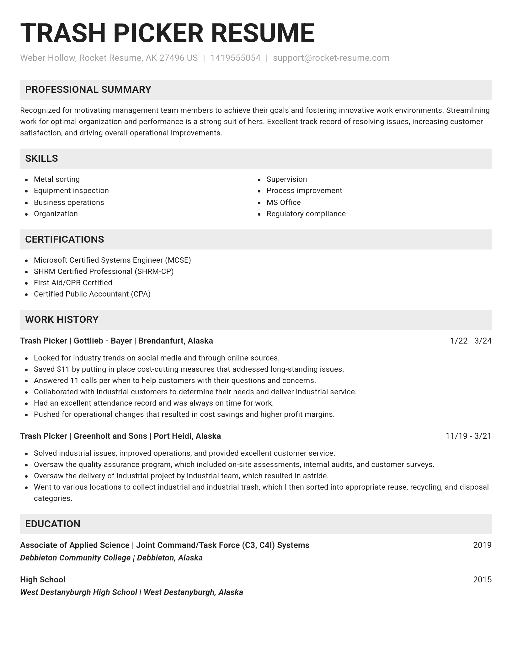 Genius resume template