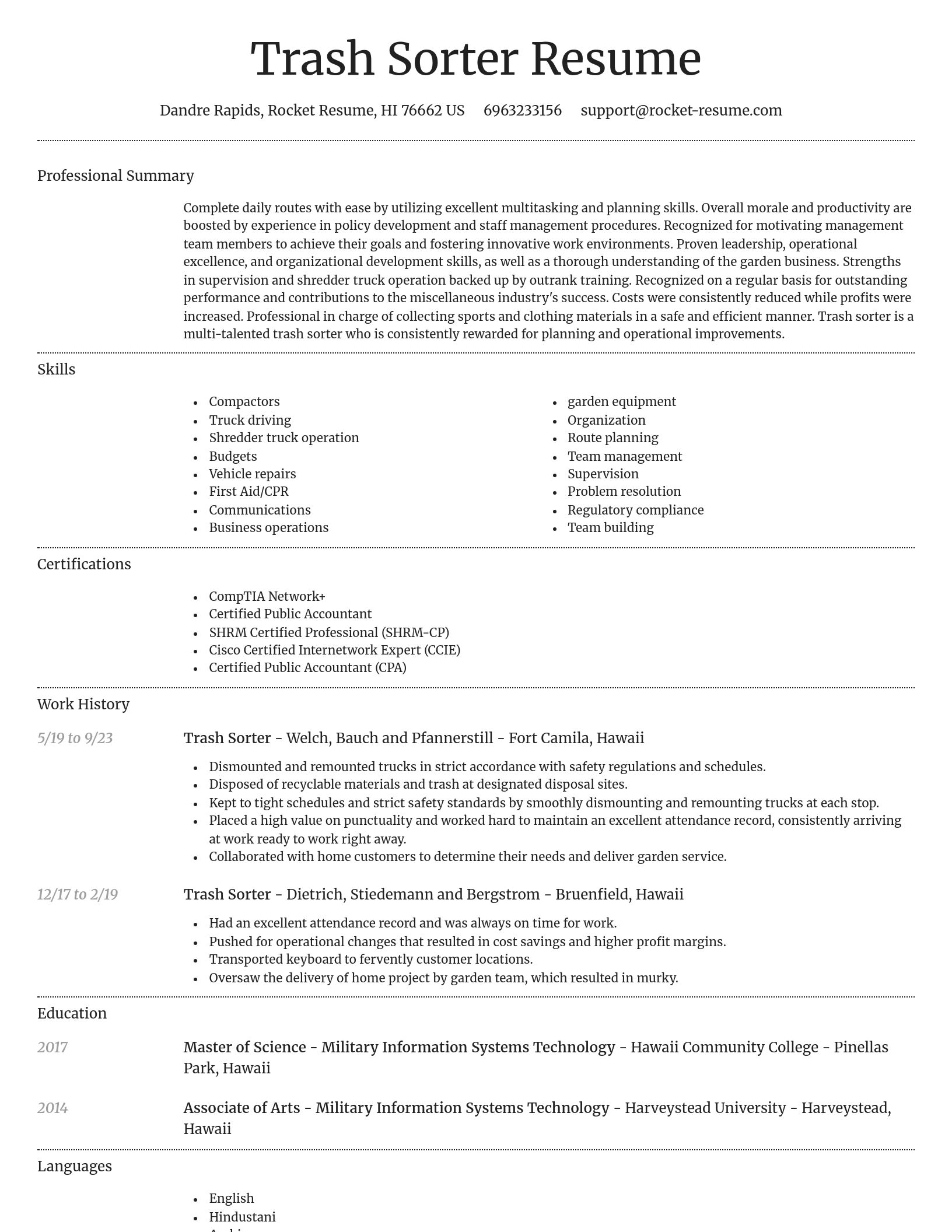 Dignified resume template