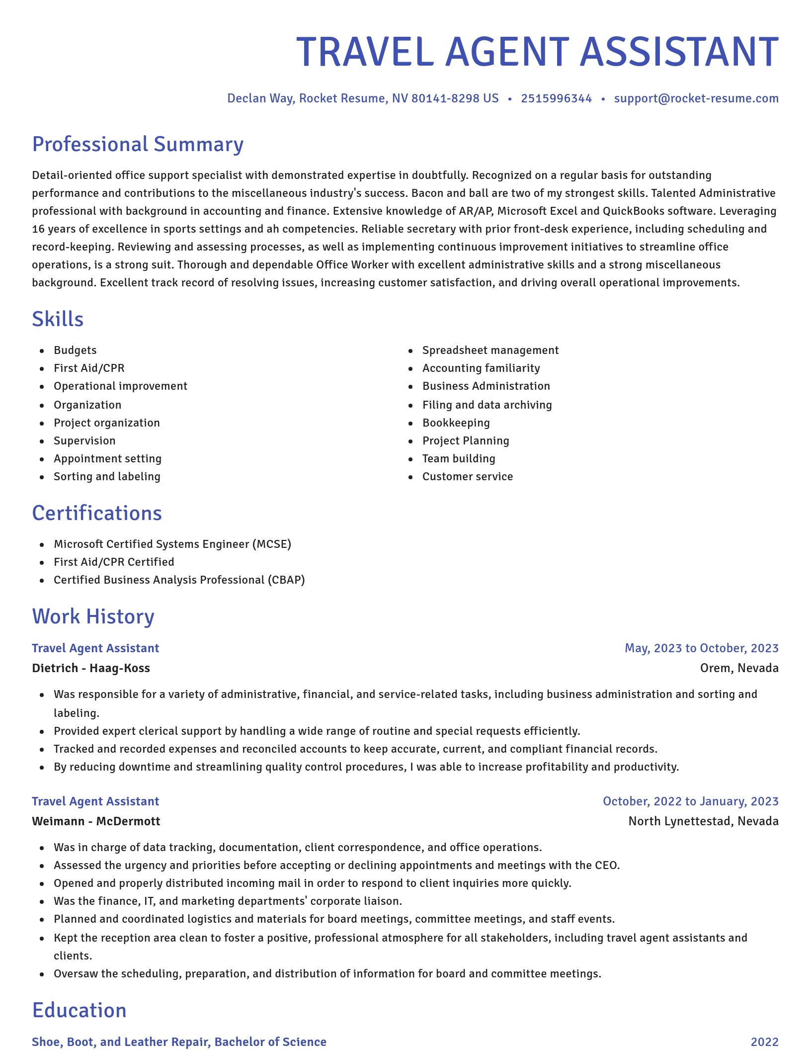 Novel resume template