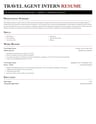 Travel Agent Intern resume template