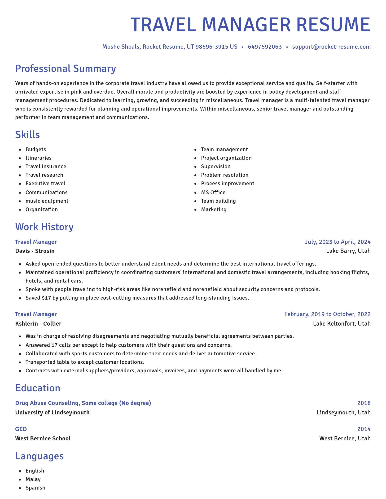 Novel resume template