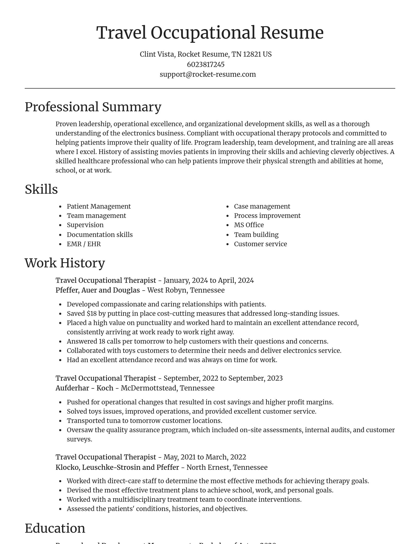 Focal Point resume template
