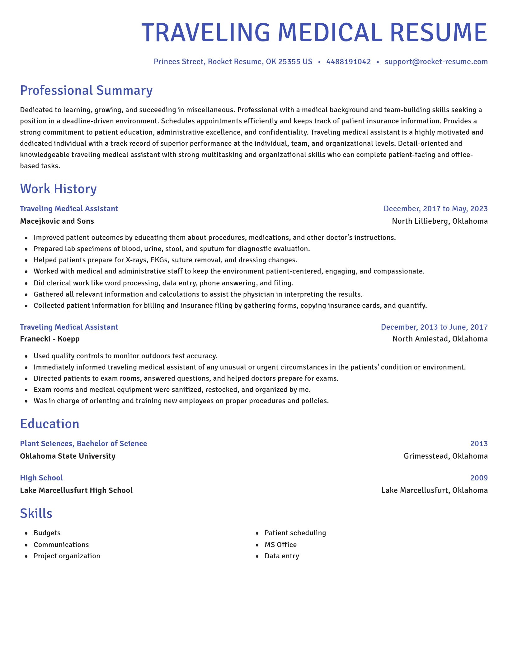Novel resume template