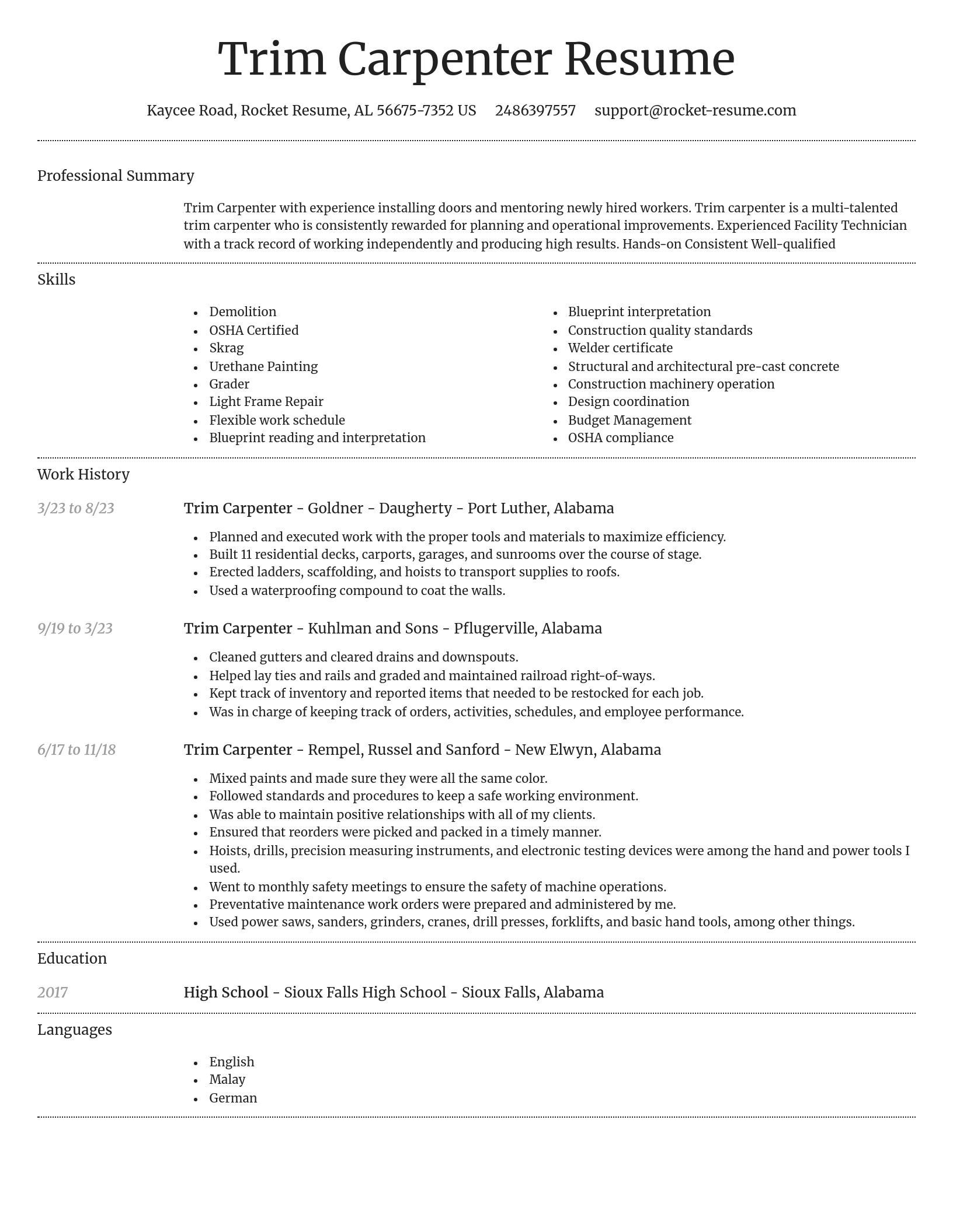 Dignified resume template