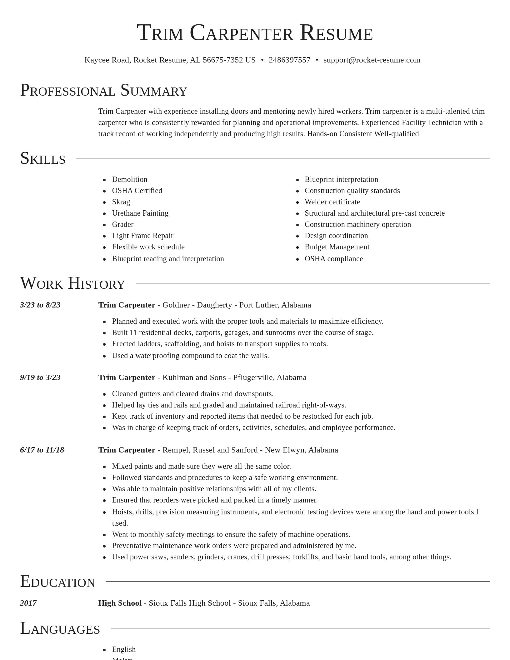 Director resume template
