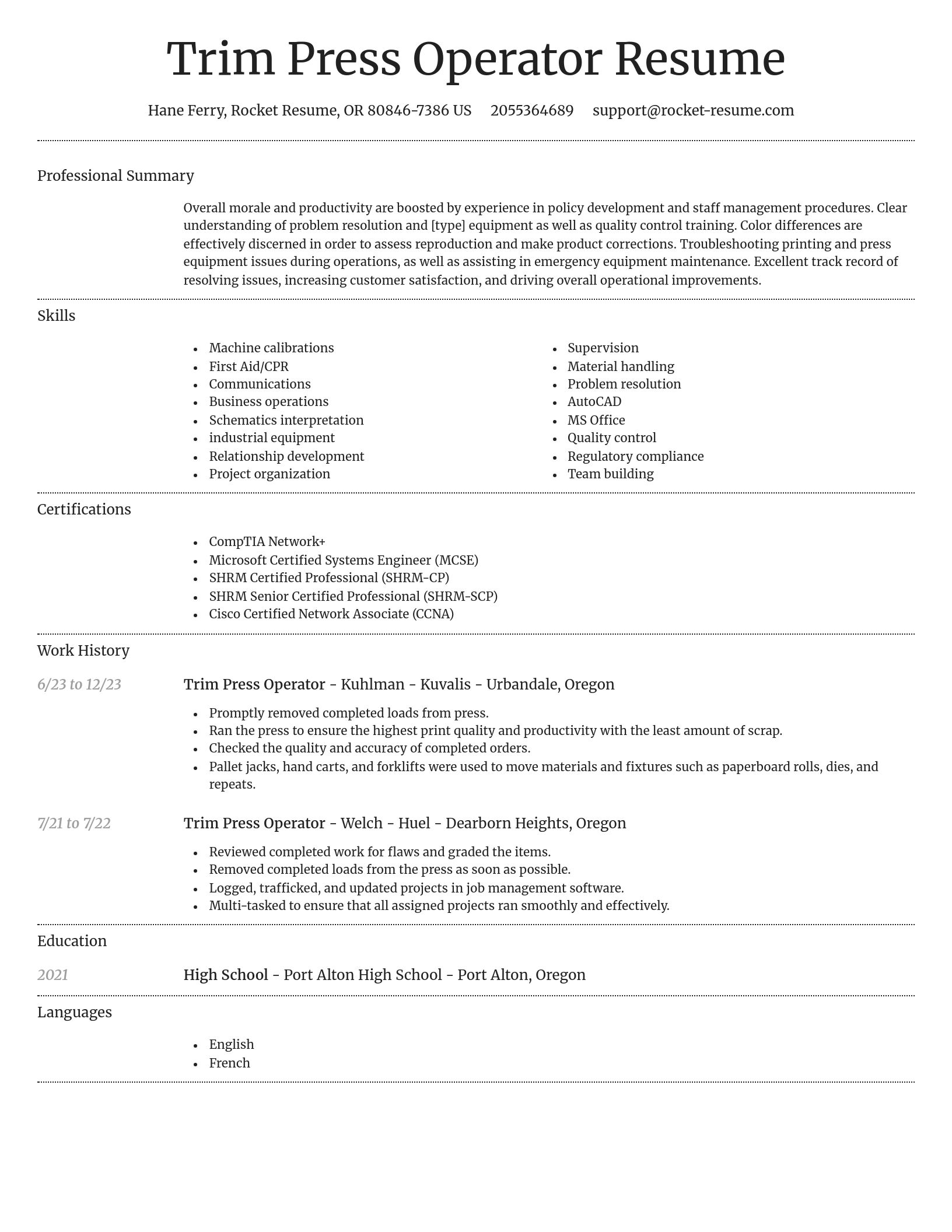 Dignified resume template