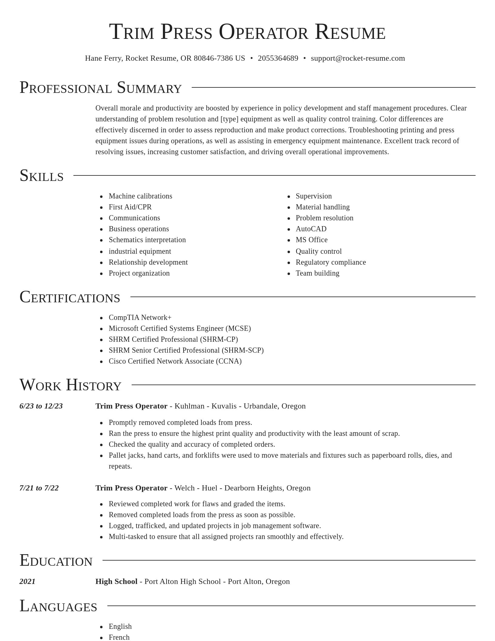 Director resume template