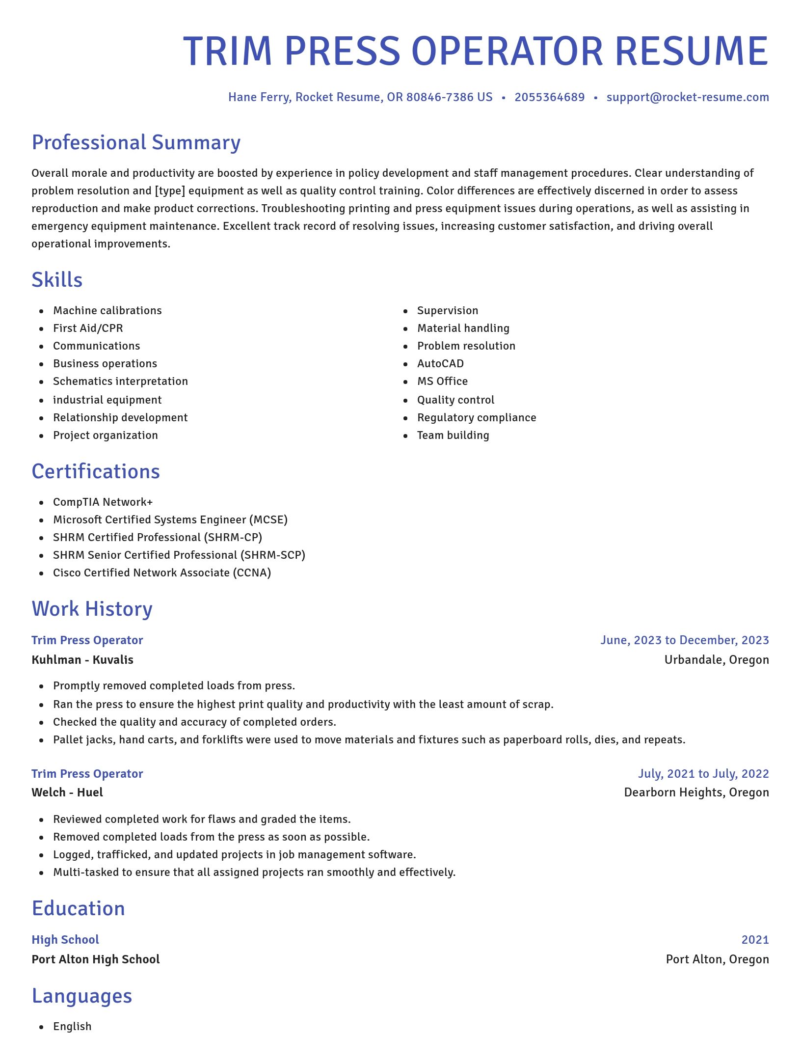 Novel resume template
