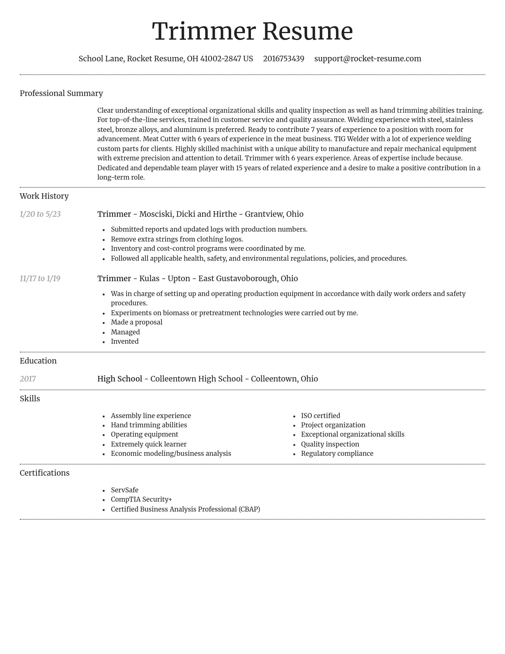 Dignified resume template