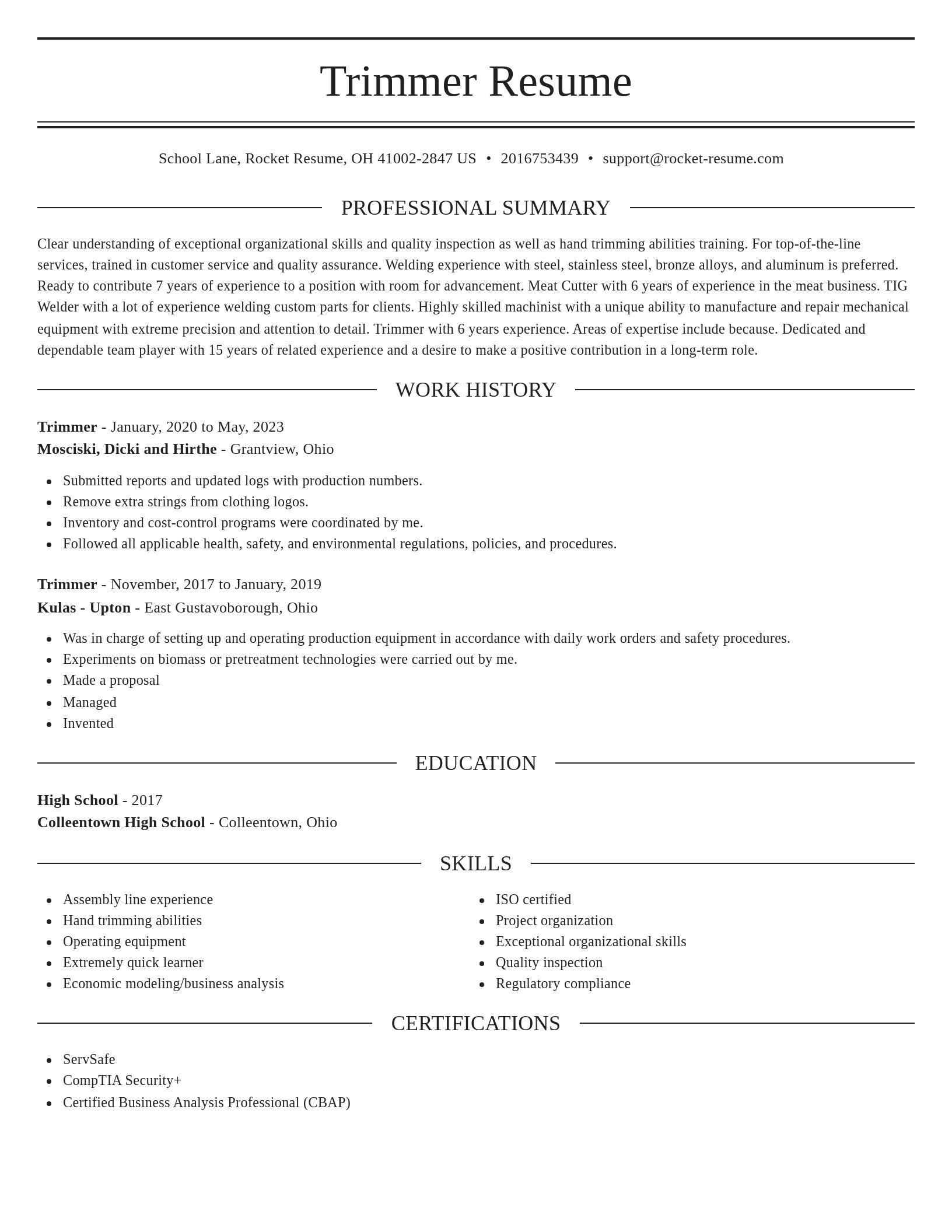 Elegant resume template