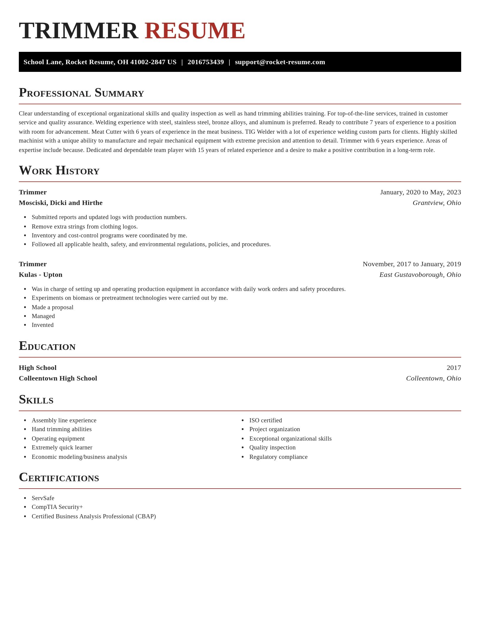 Exquisite resume template
