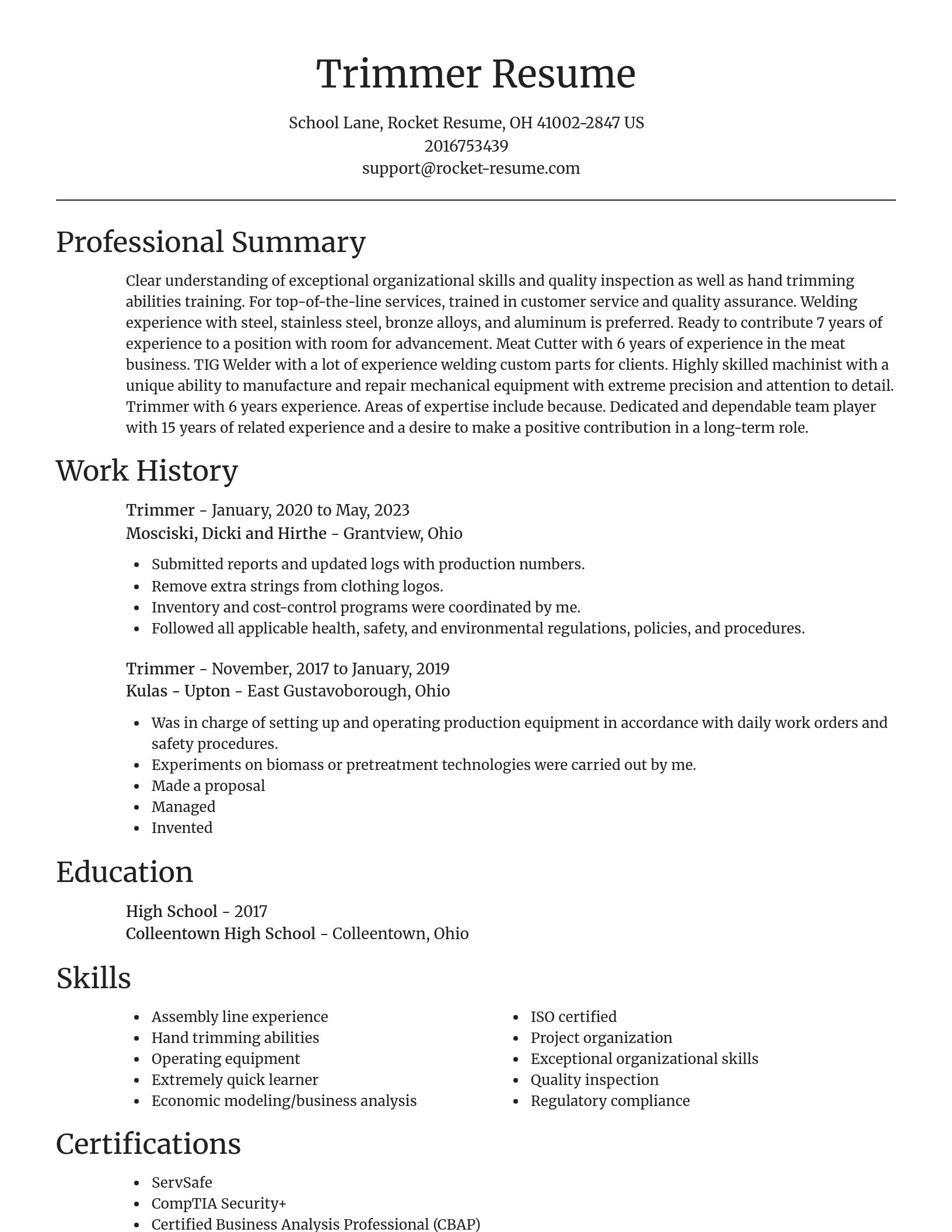 Focal Point resume template