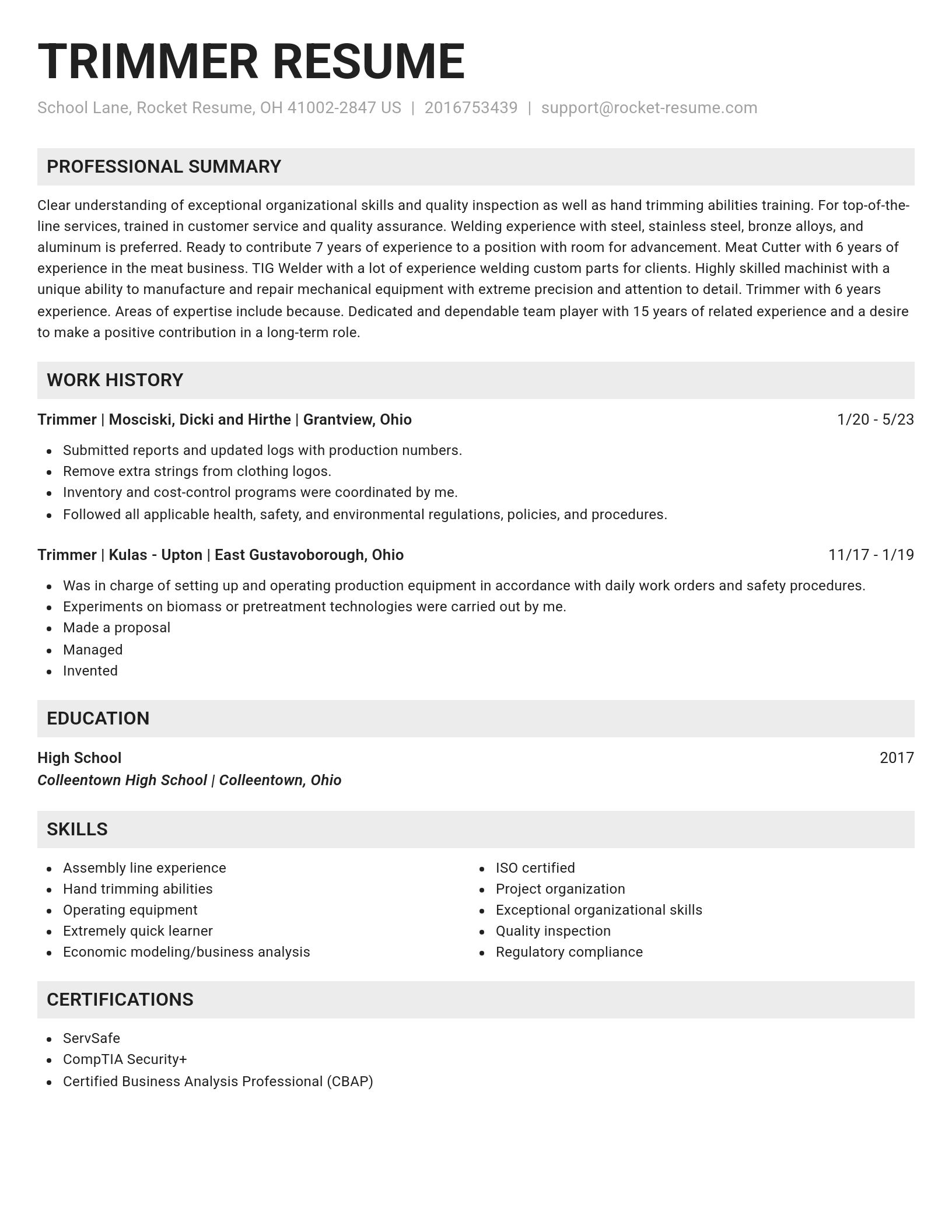 Genius resume template