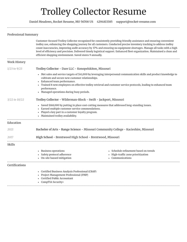 Dignified resume template