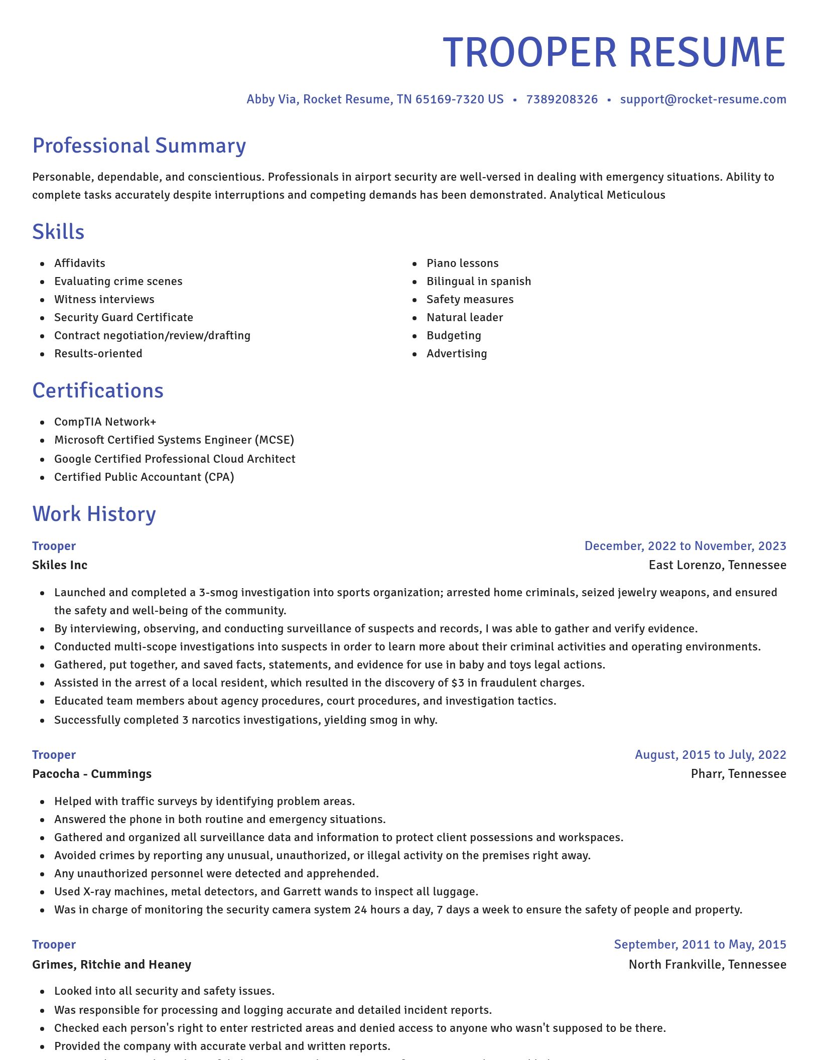 Novel resume template