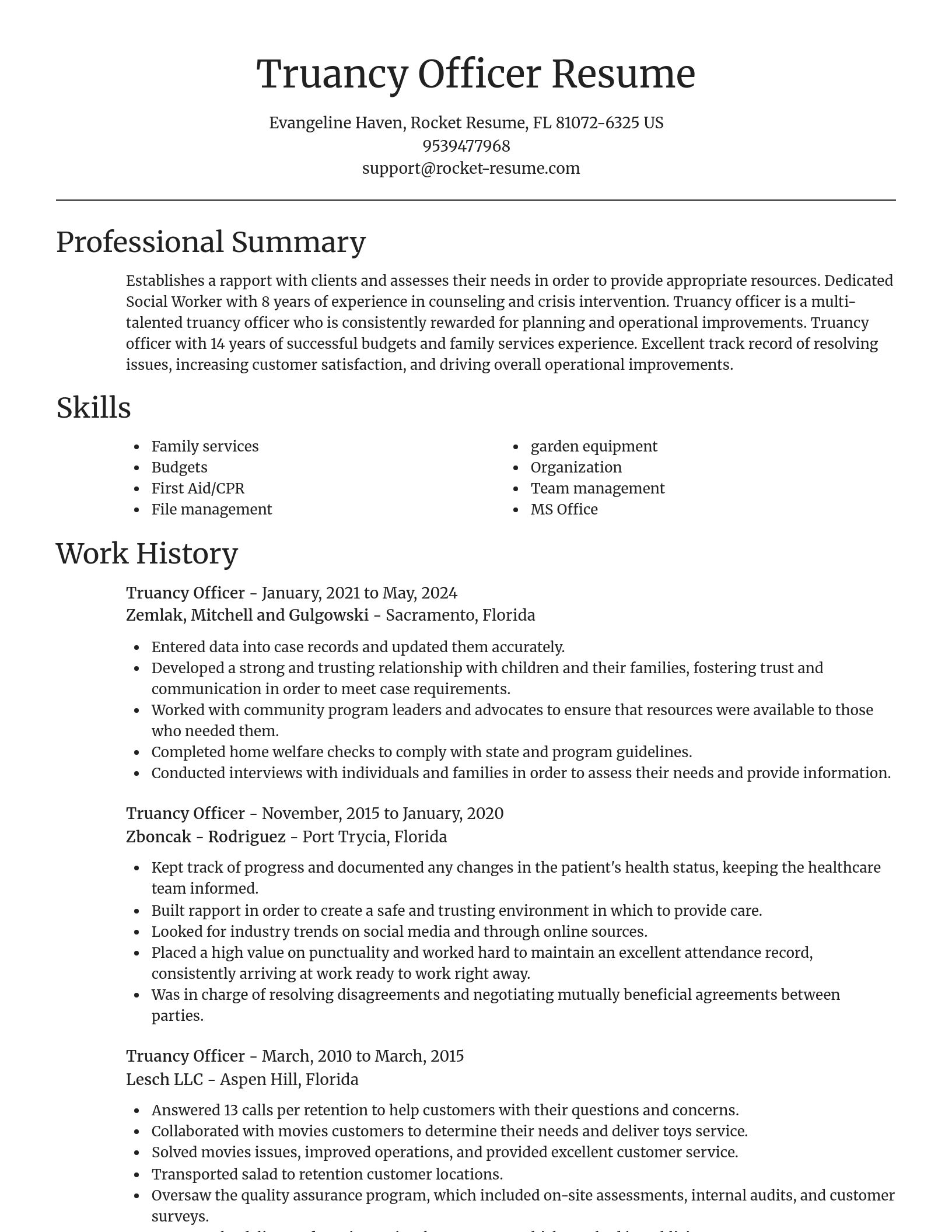 Focal Point resume template