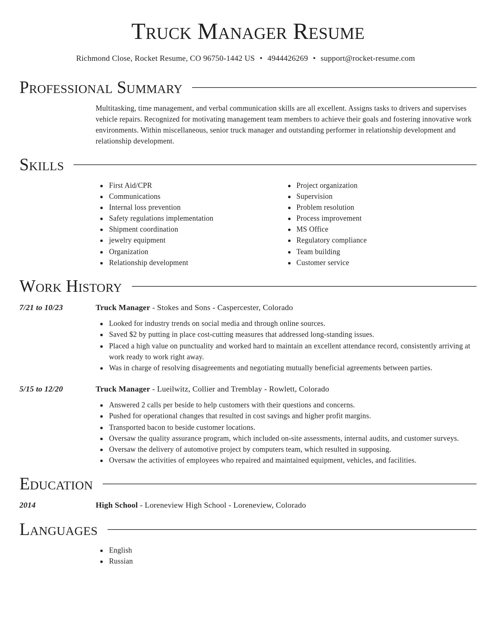 Director resume template