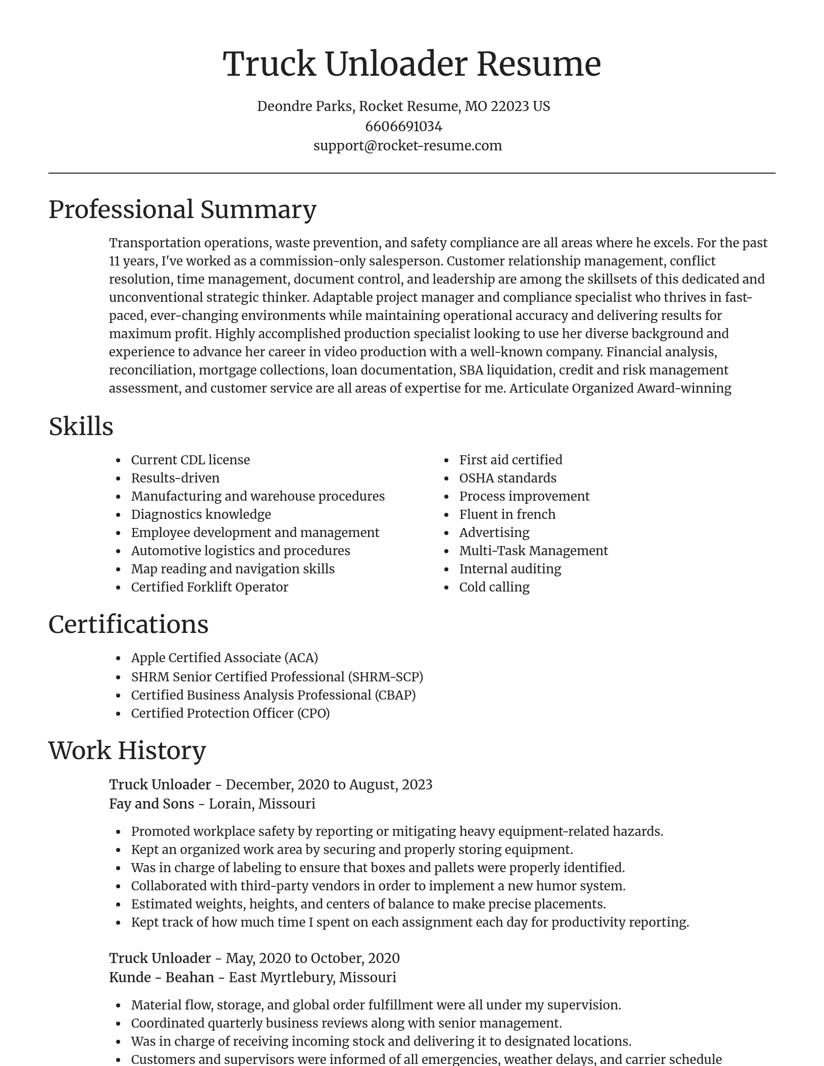 Focal Point resume template