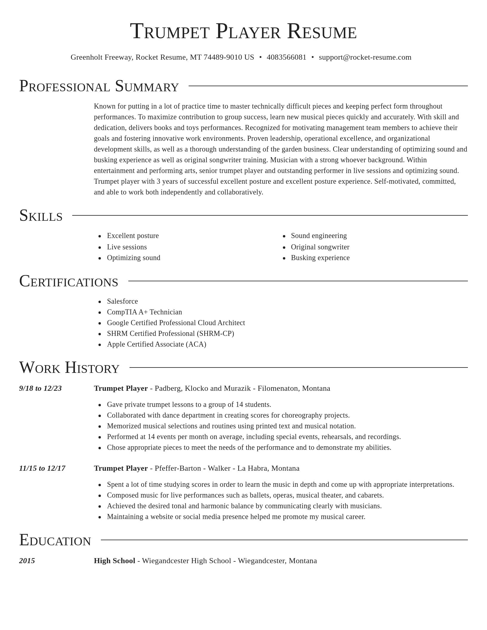 Director resume template