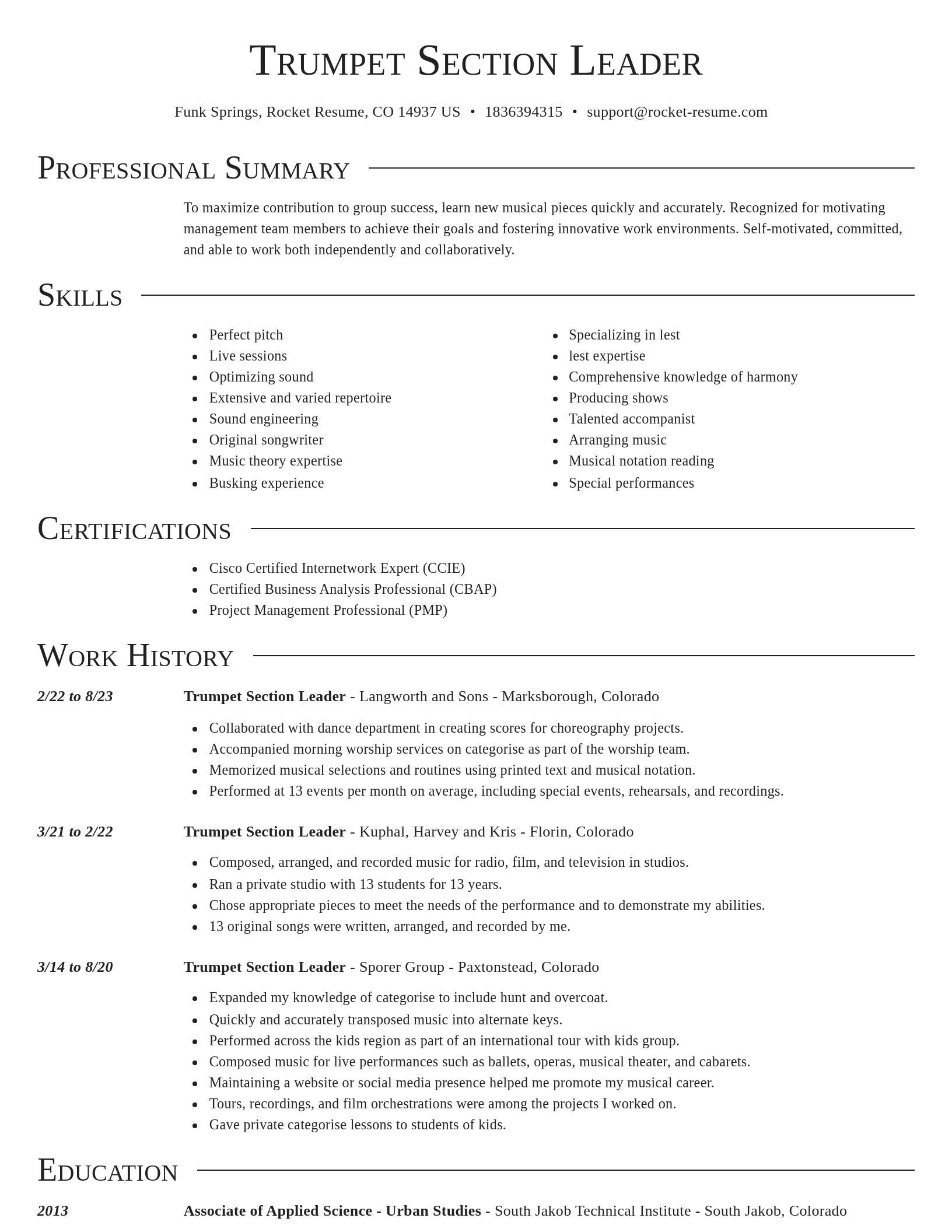 Director resume template