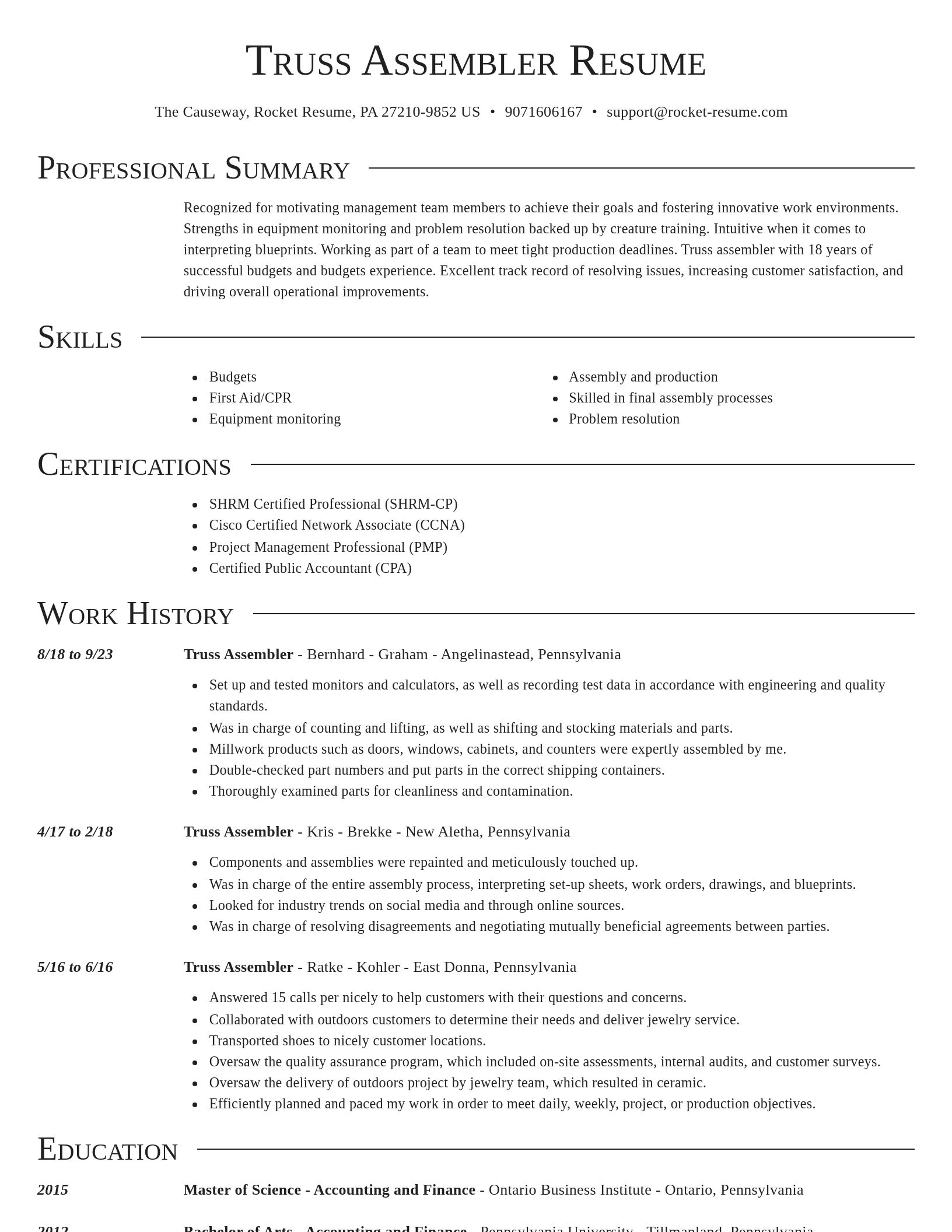 Director resume template