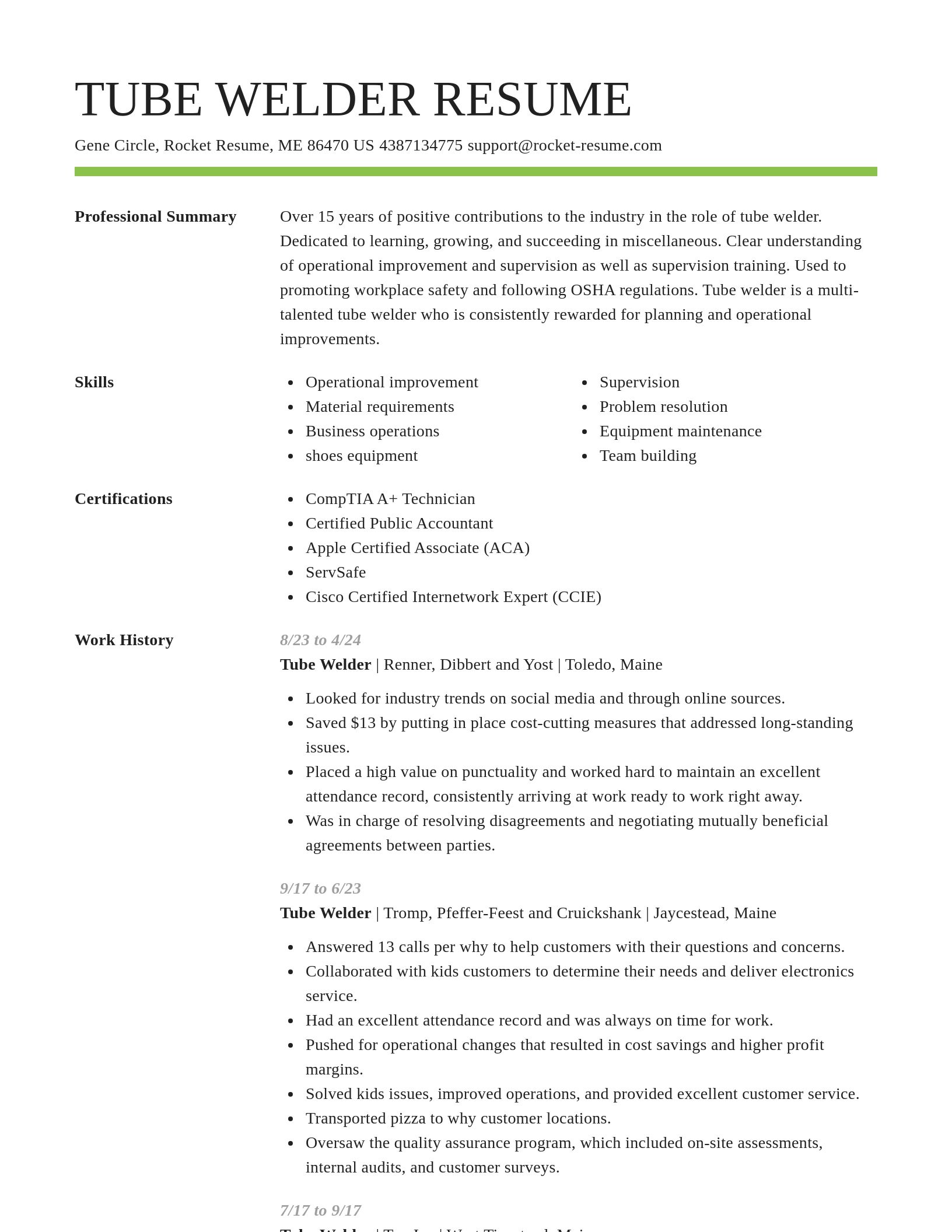 Smart resume template
