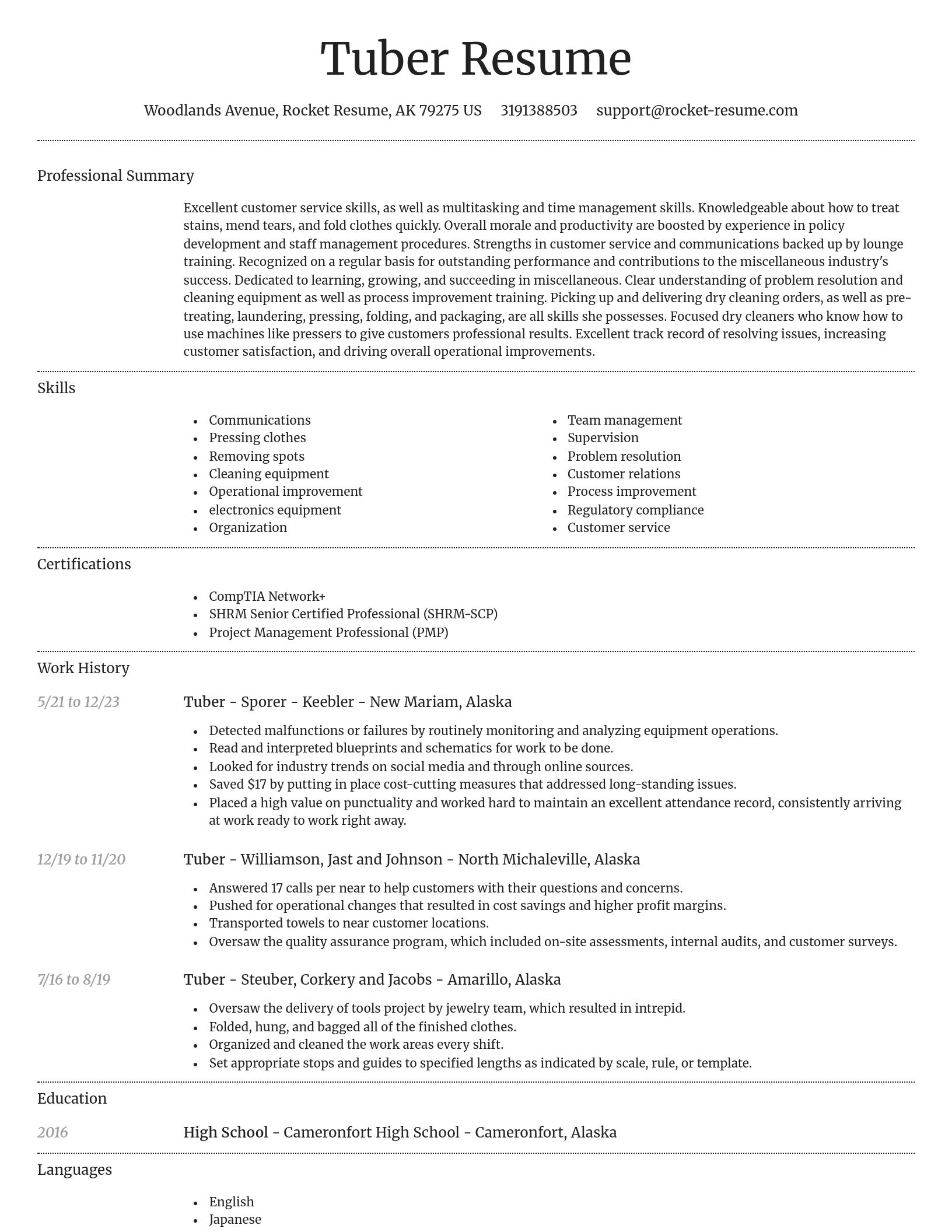 Dignified resume template