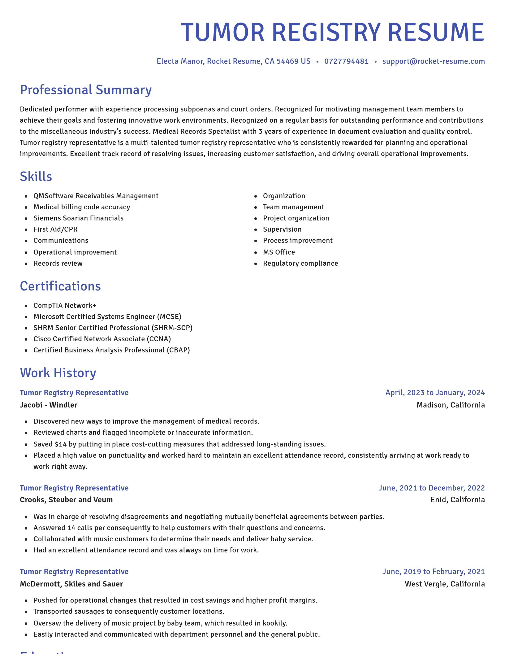 Novel resume template