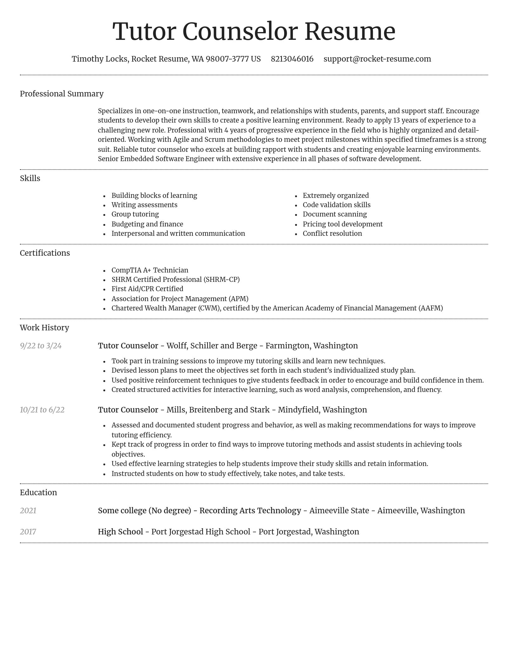 Dignified resume template