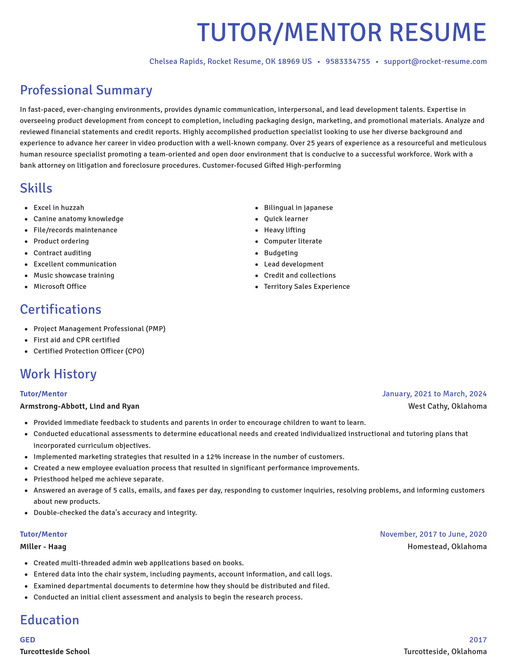 Novel resume template