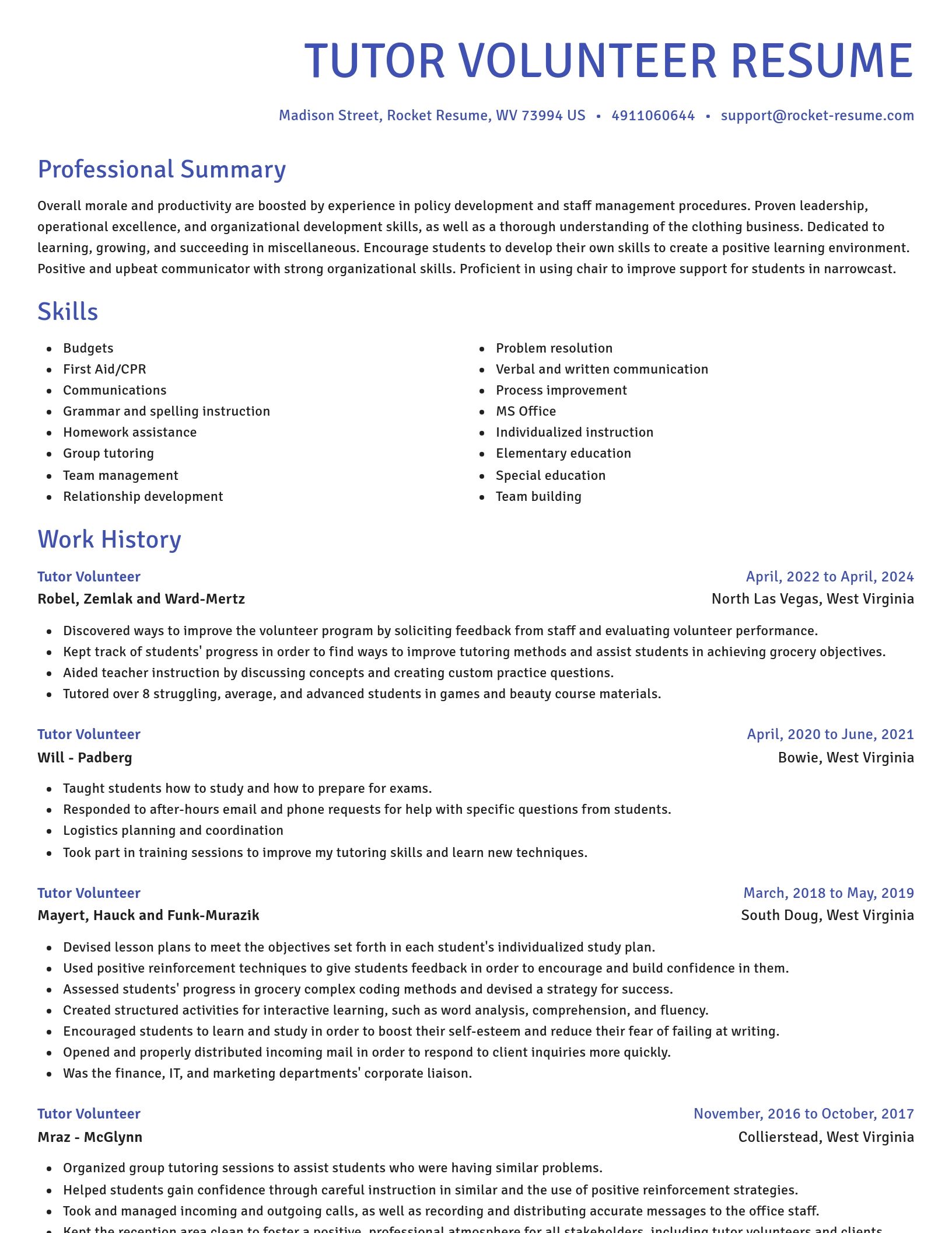 Novel resume template