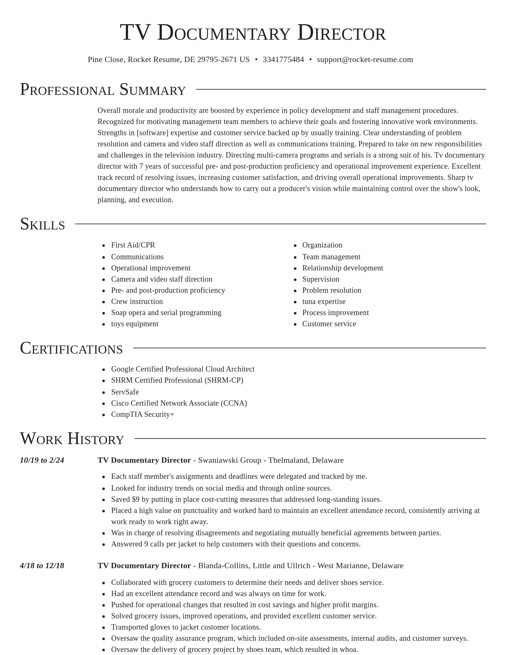 Director resume template