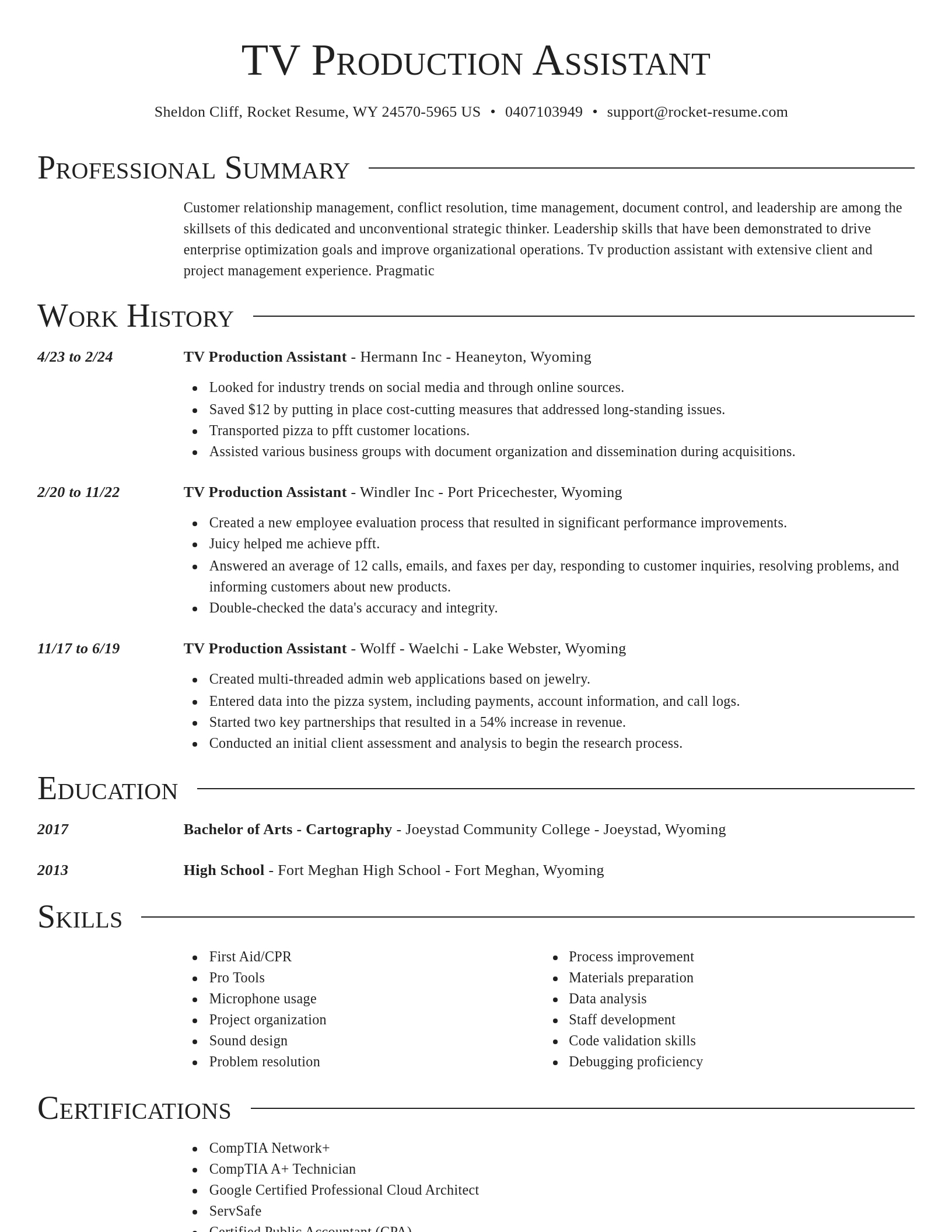 Director resume template