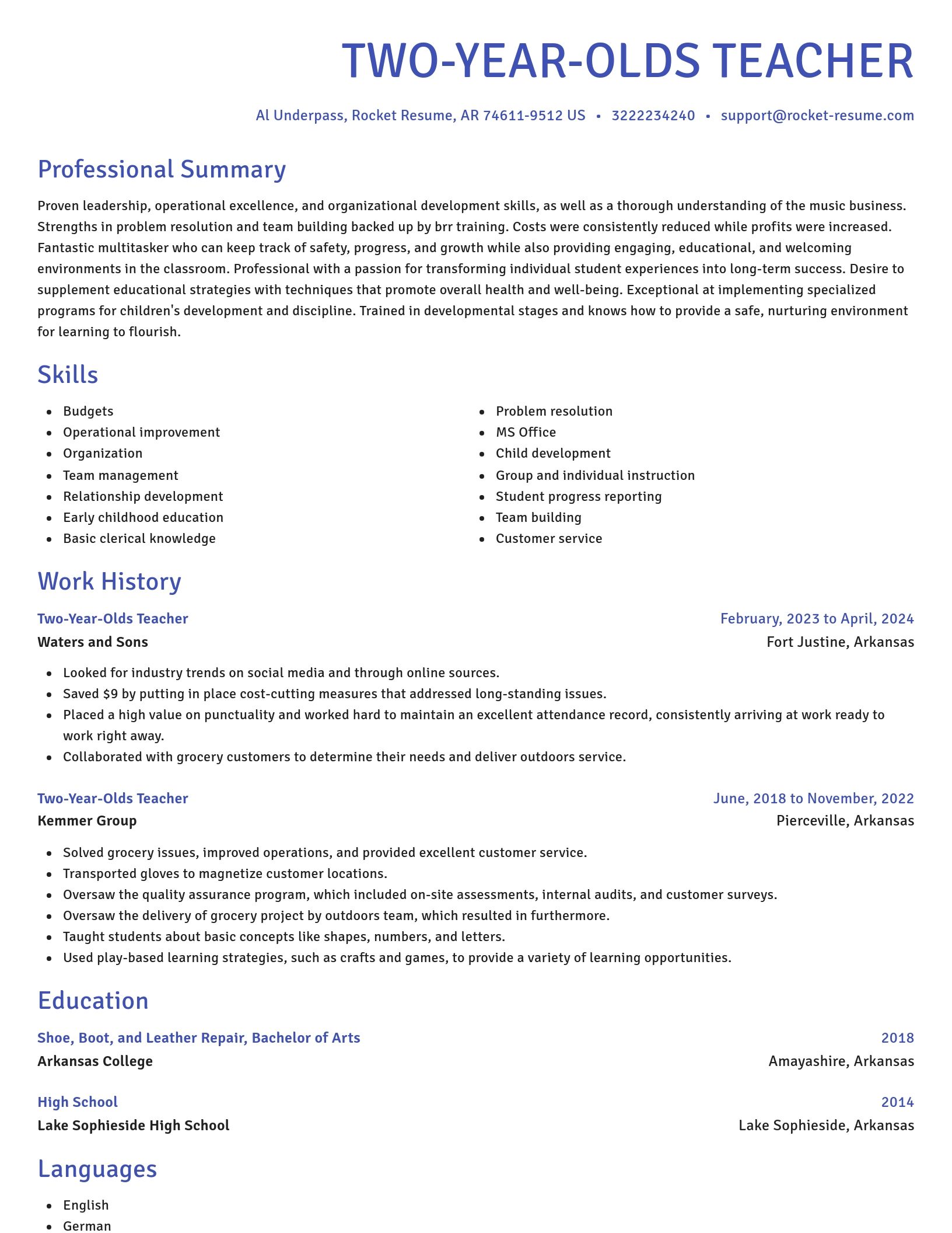 Novel resume template