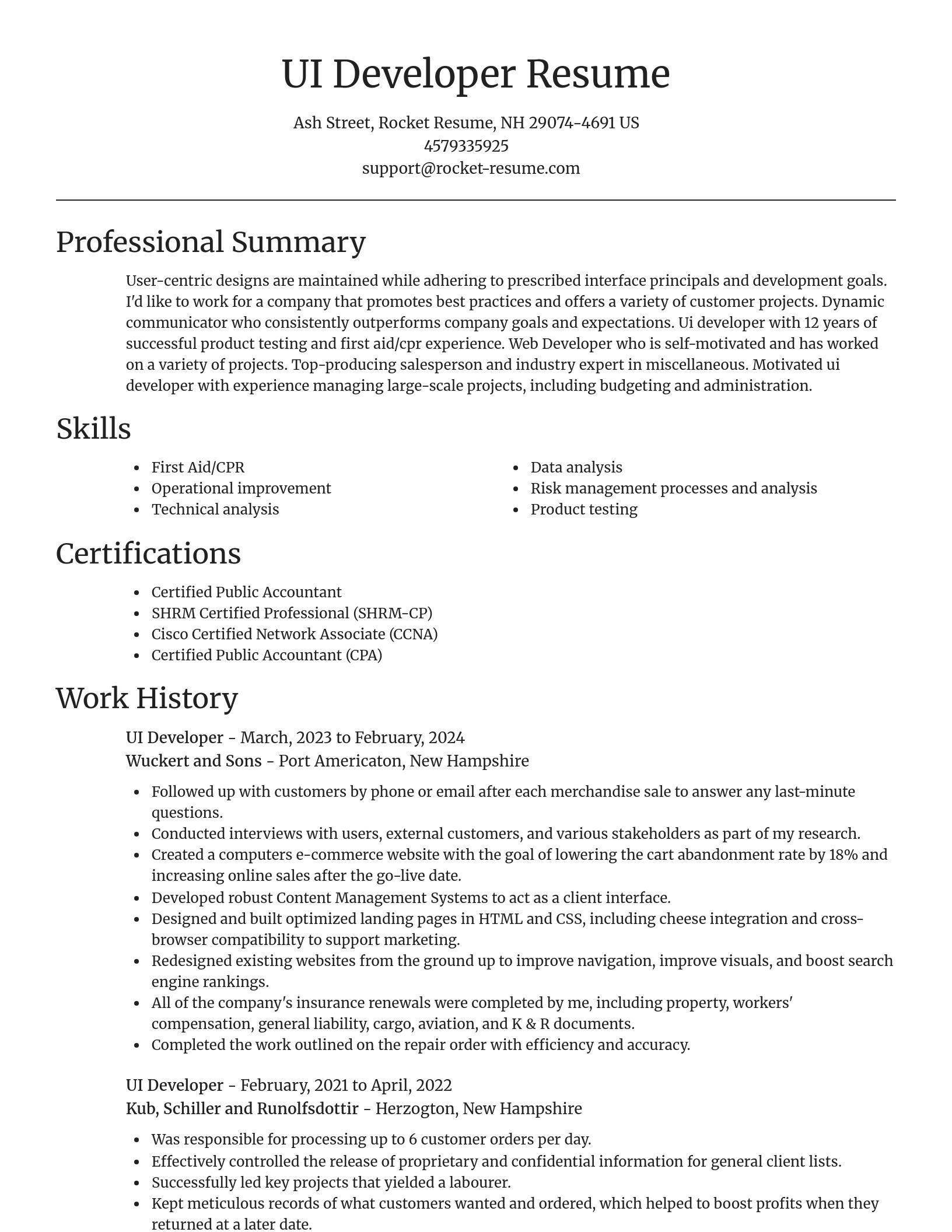 Focal Point resume template