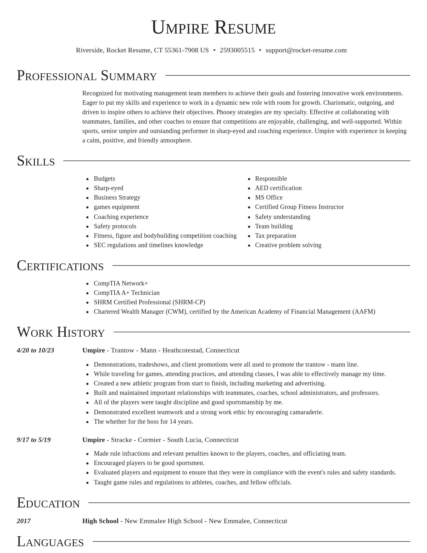 Director resume template