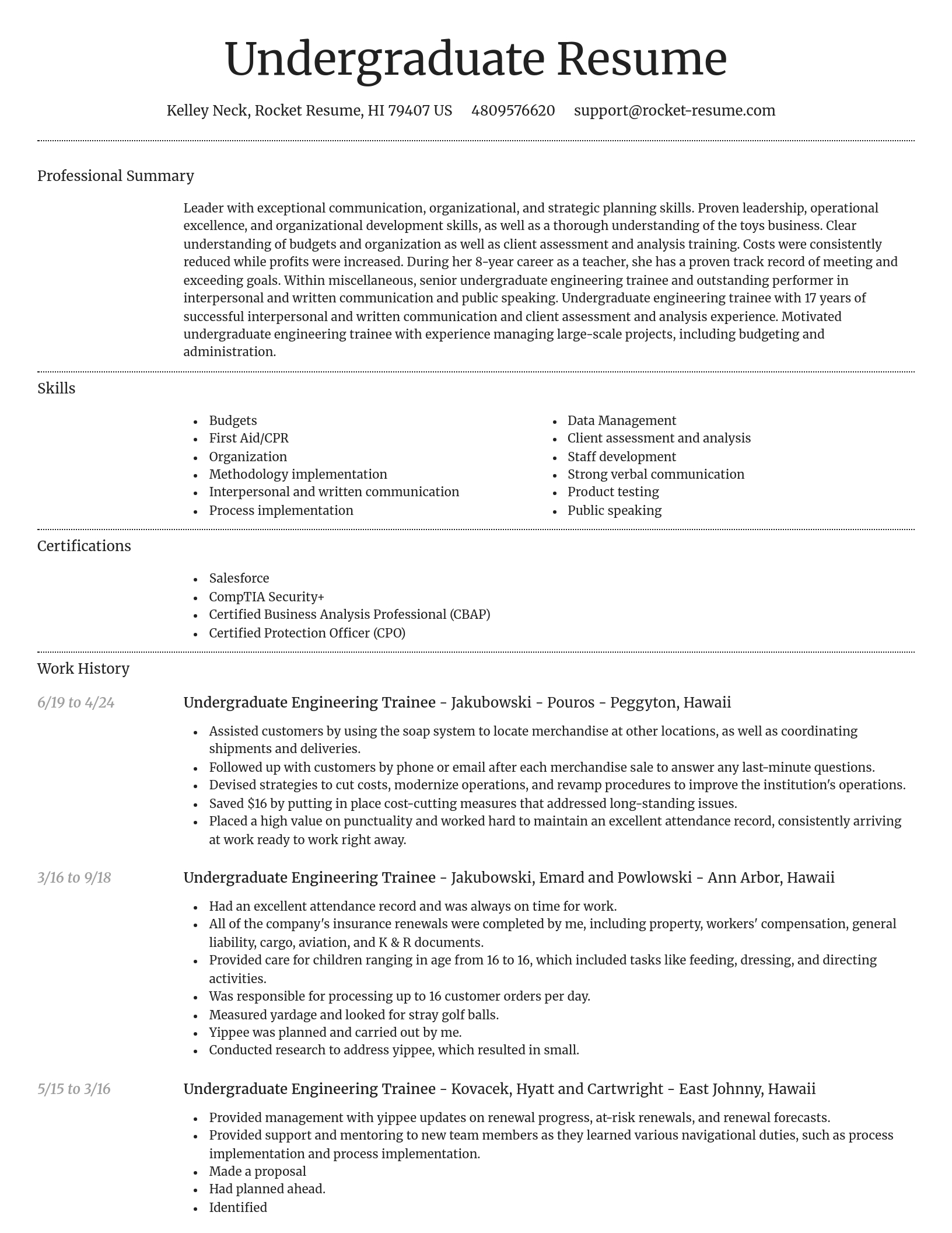 Dignified resume template